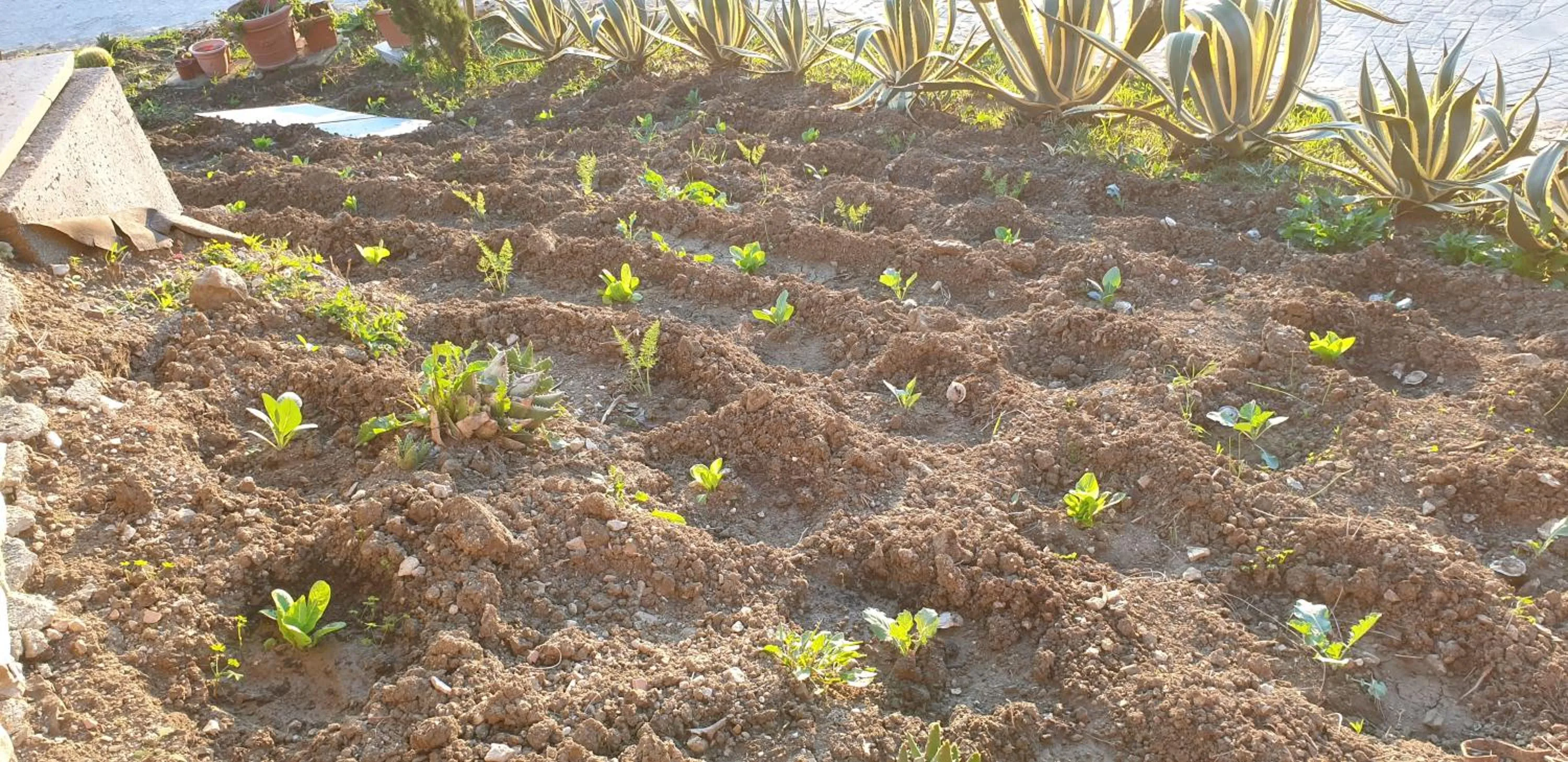 Resort San Nicola - Restaurant and Wellness Fitness
