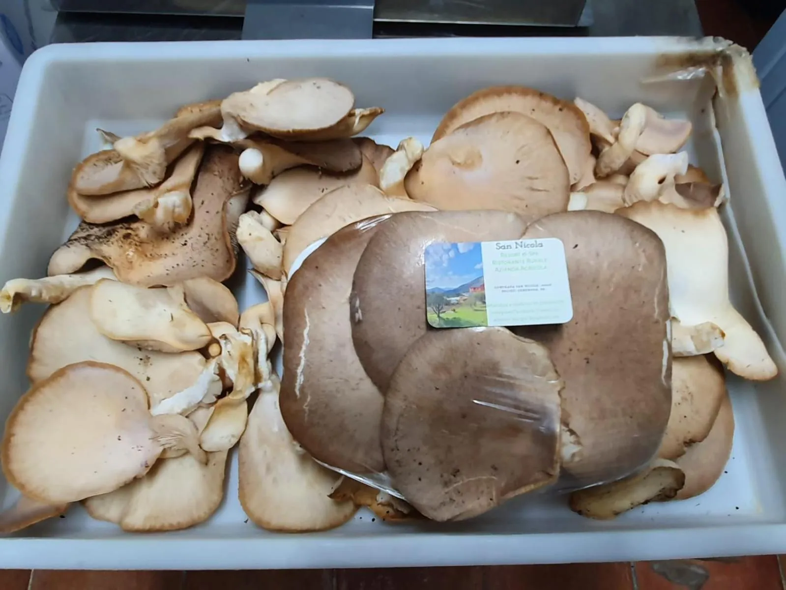 Resort San Nicola - Restaurant and Wellness Fitness