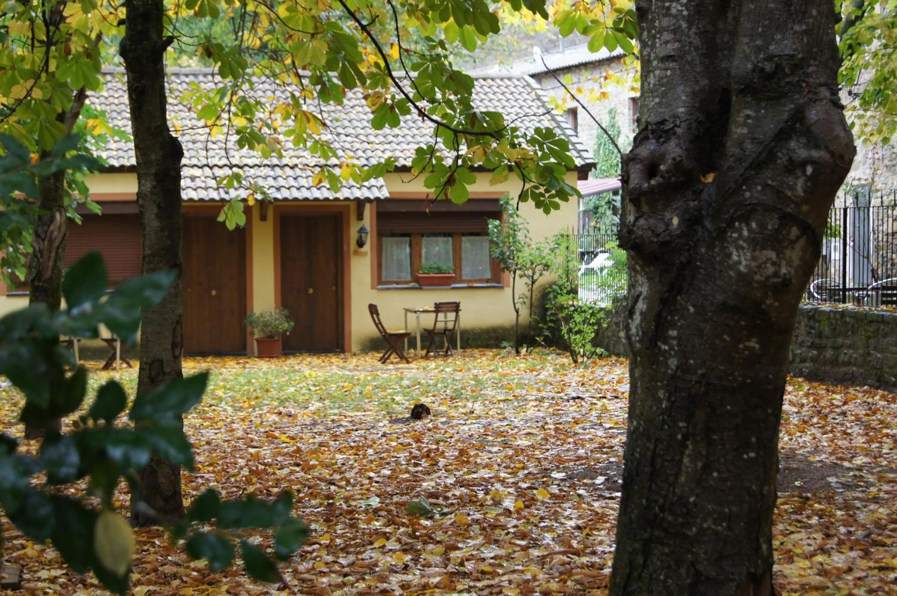 Garden in Hotel Charle