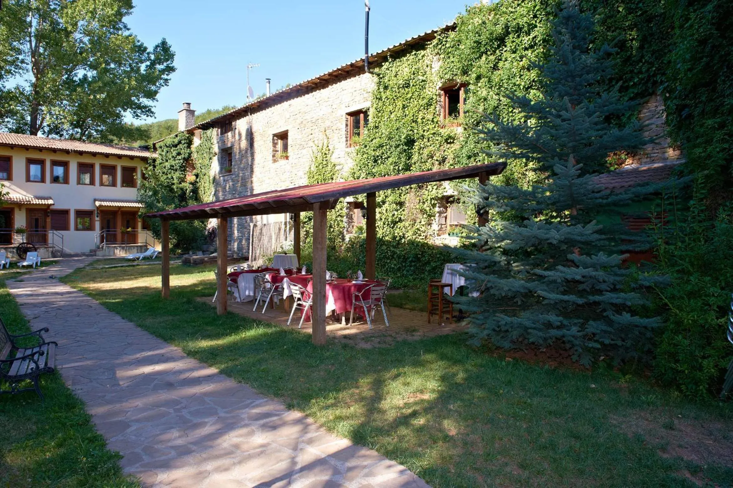 Garden in Hotel Charle
