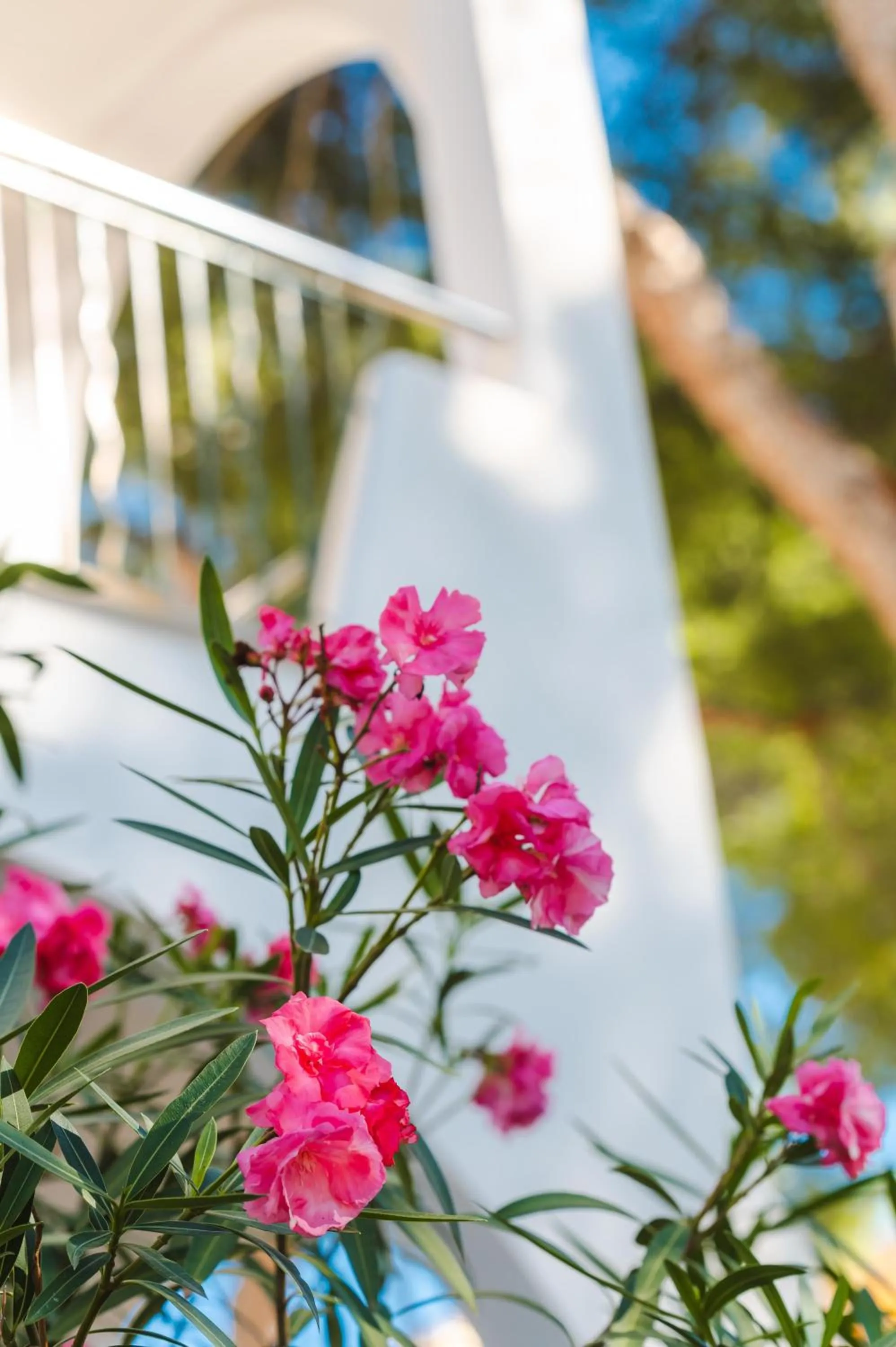 Property building in Flipflop Surfing Playa