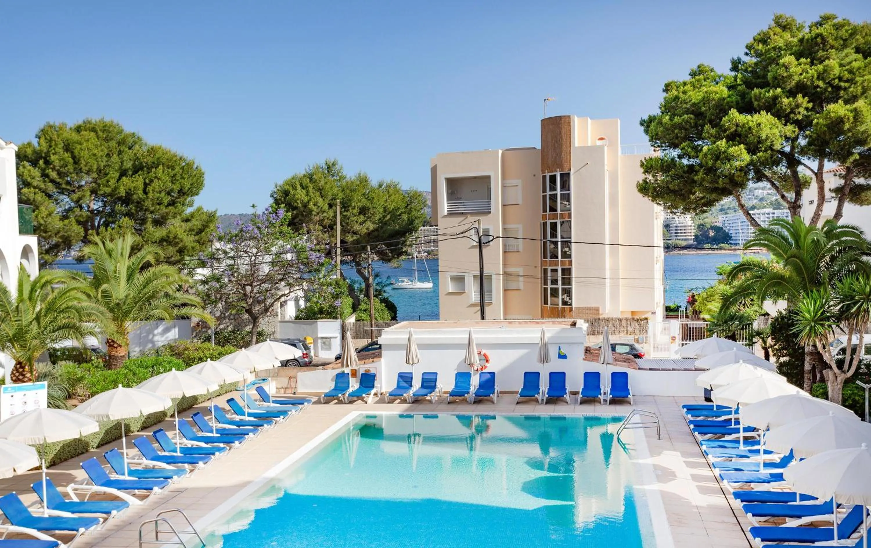 Swimming pool in Flipflop Surfing Playa