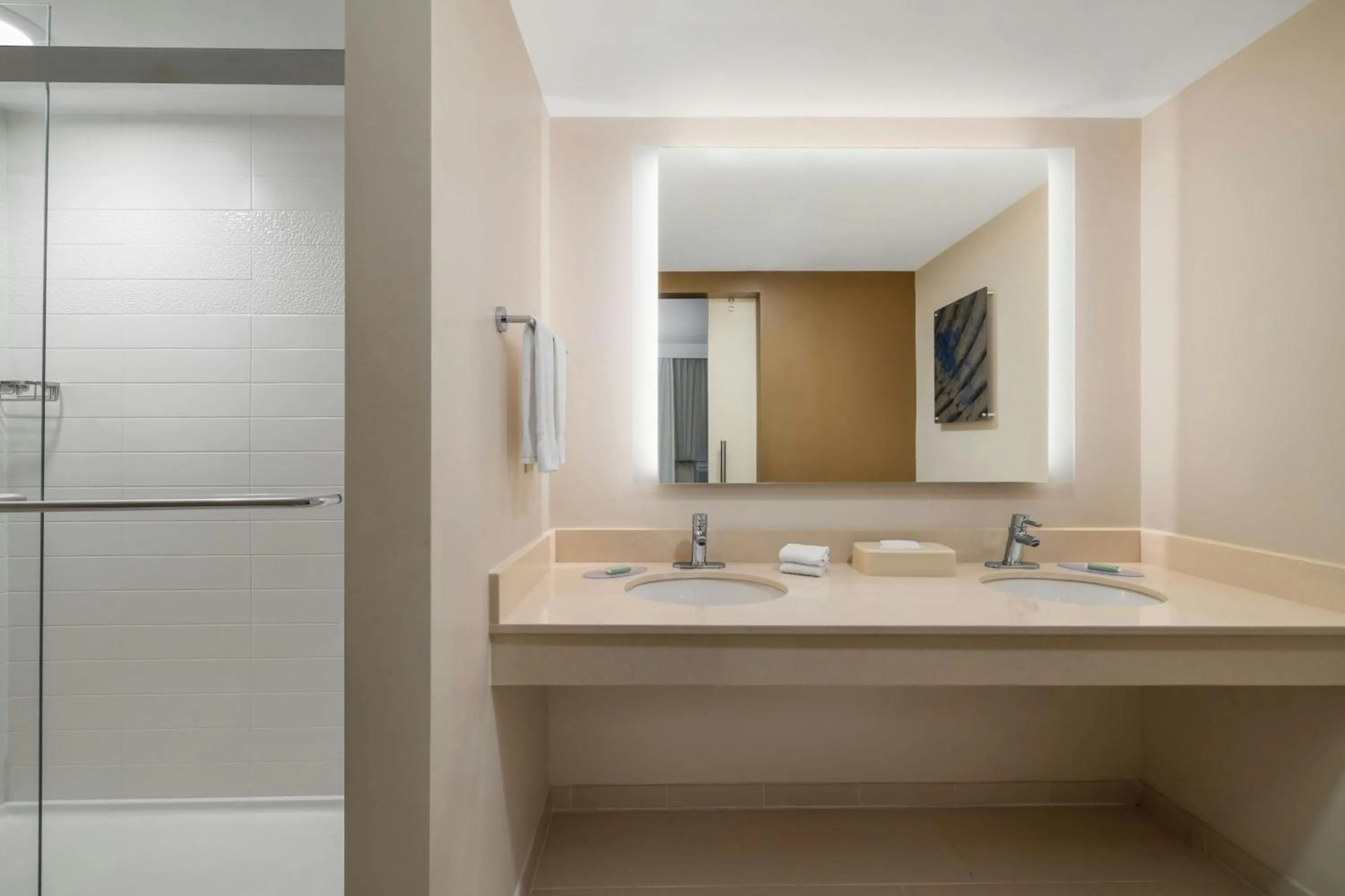 Bathroom in Fairfield by Marriott Inn & Suites Herndon Reston