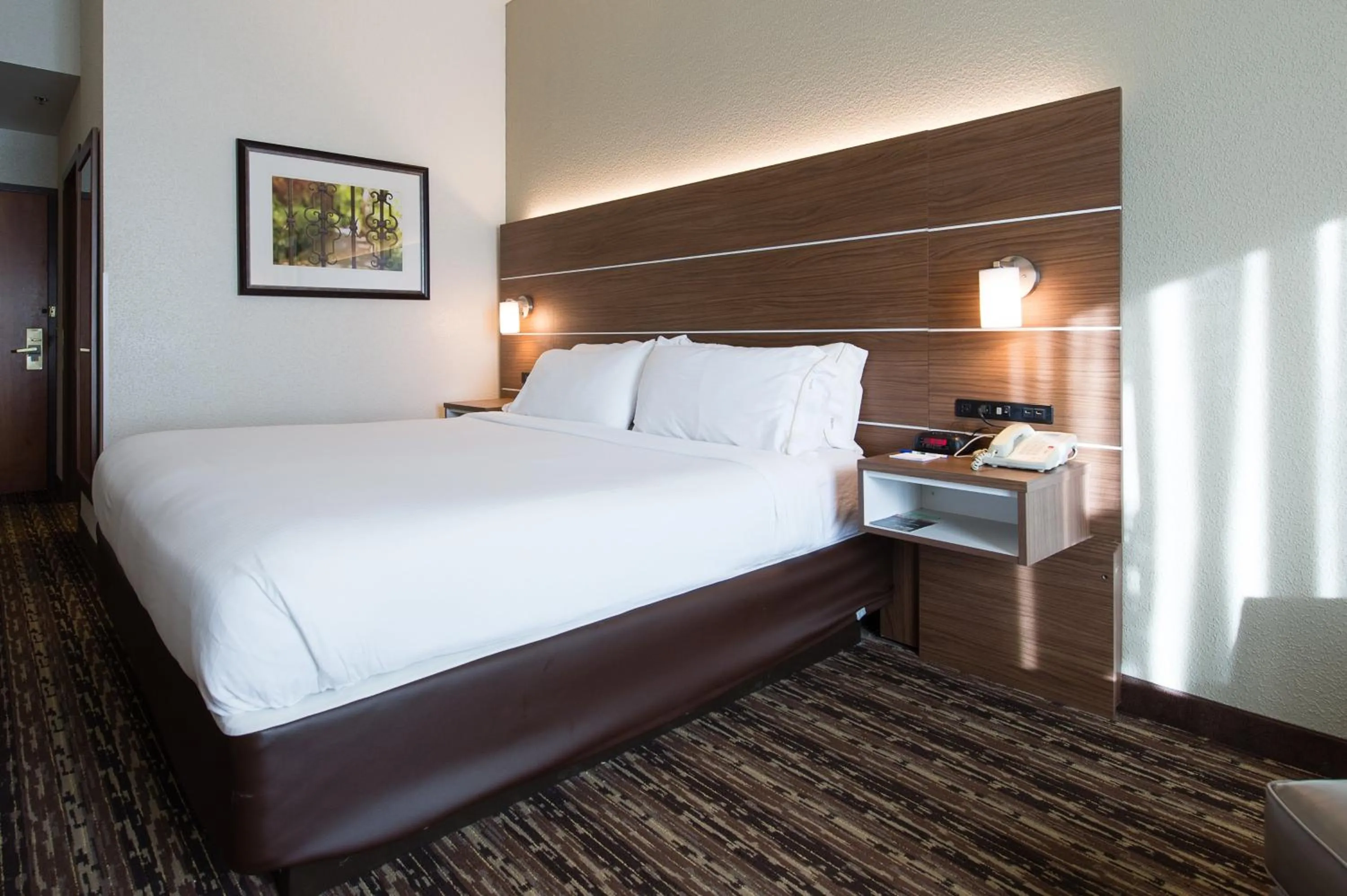 Photo of the whole room, Bed in Holiday Inn Express & Suites Walterboro by IHG