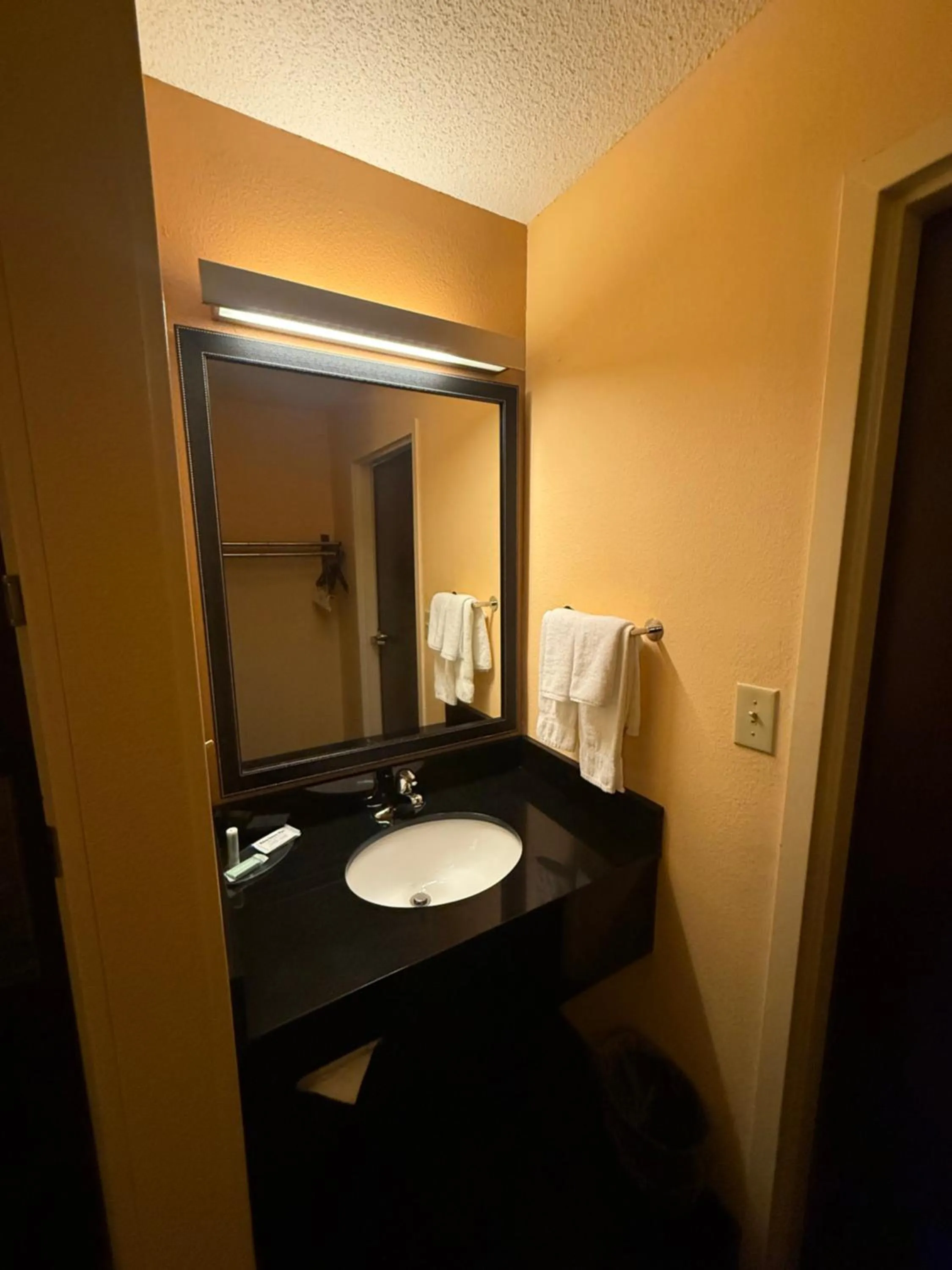 Bathroom in Fairfield Inn and Suites by Marriott Atlanta Suwanee