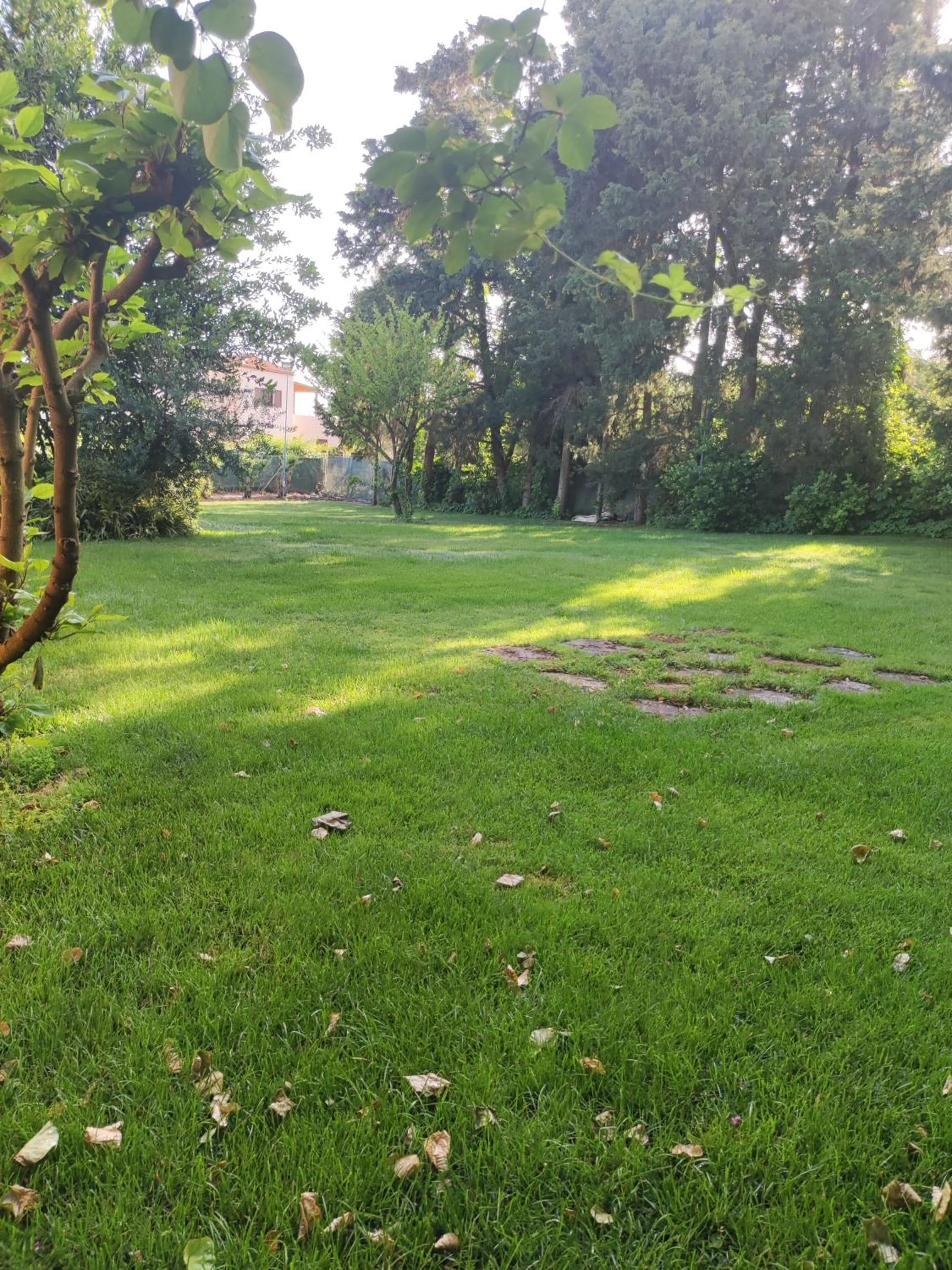 Garden in Metohi Georgila