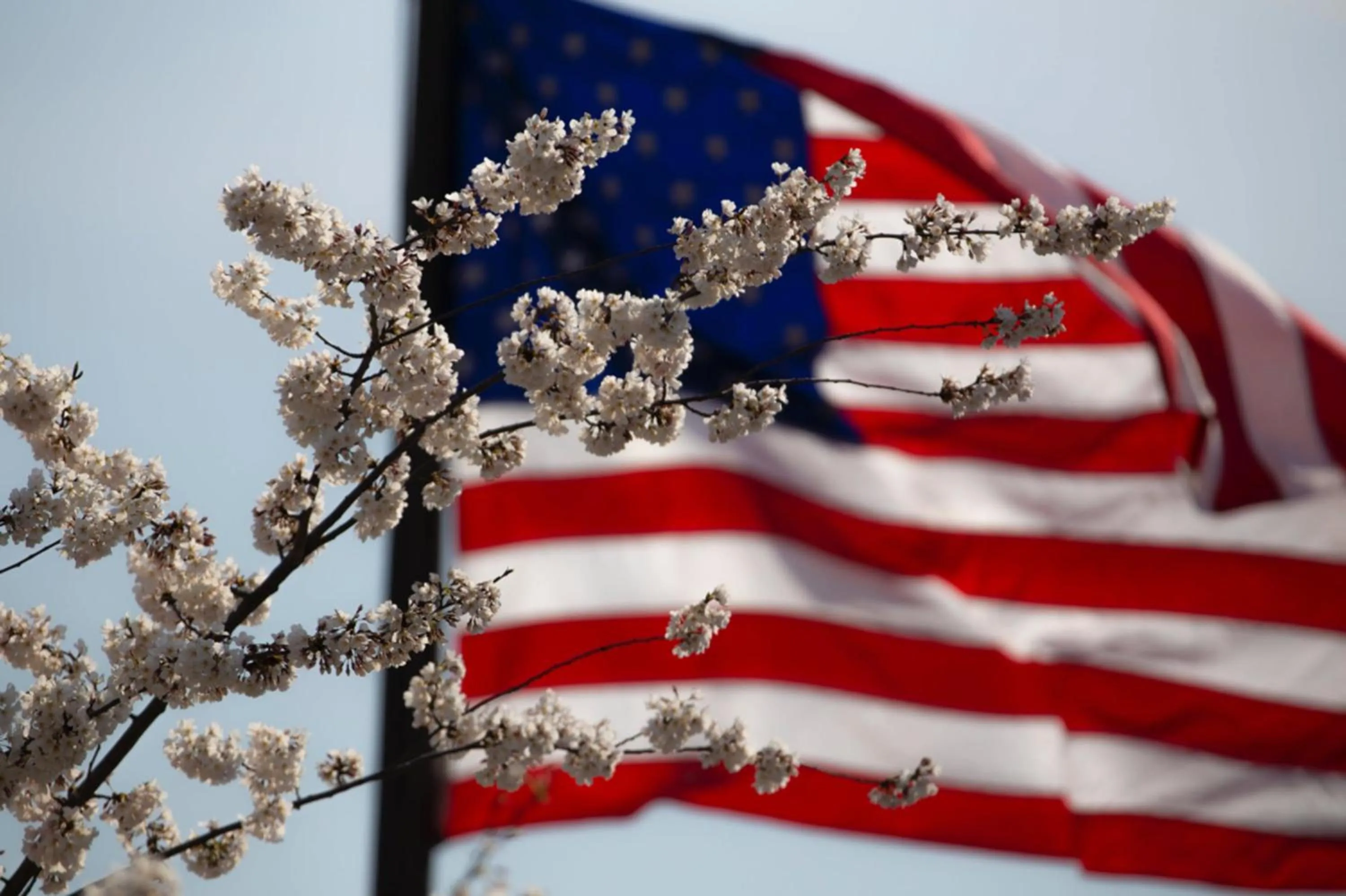 Area and facilities in Staybridge Suites San Antonio Sea World by IHG