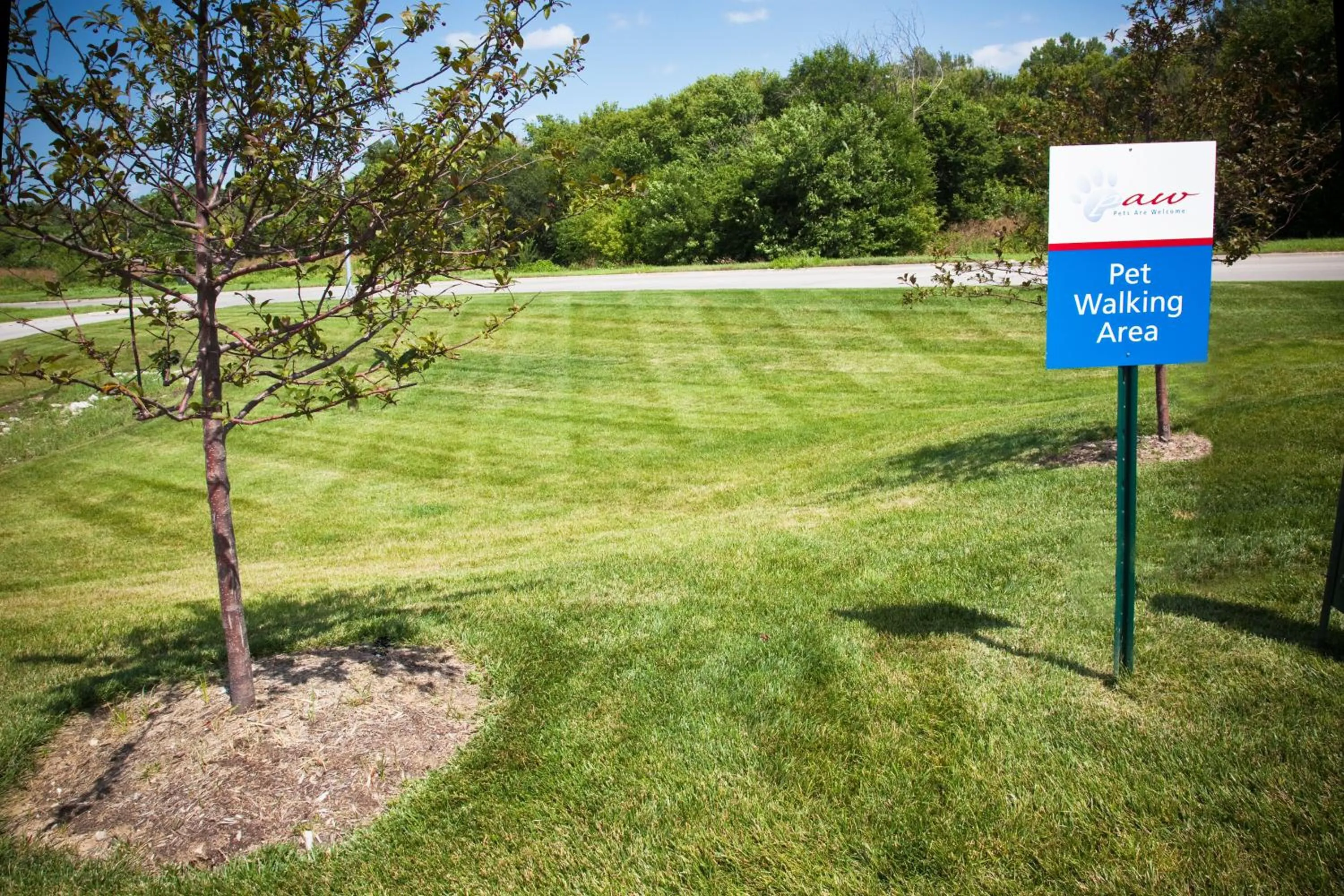 Lobby or reception in Candlewood Suites Bellevue by IHG