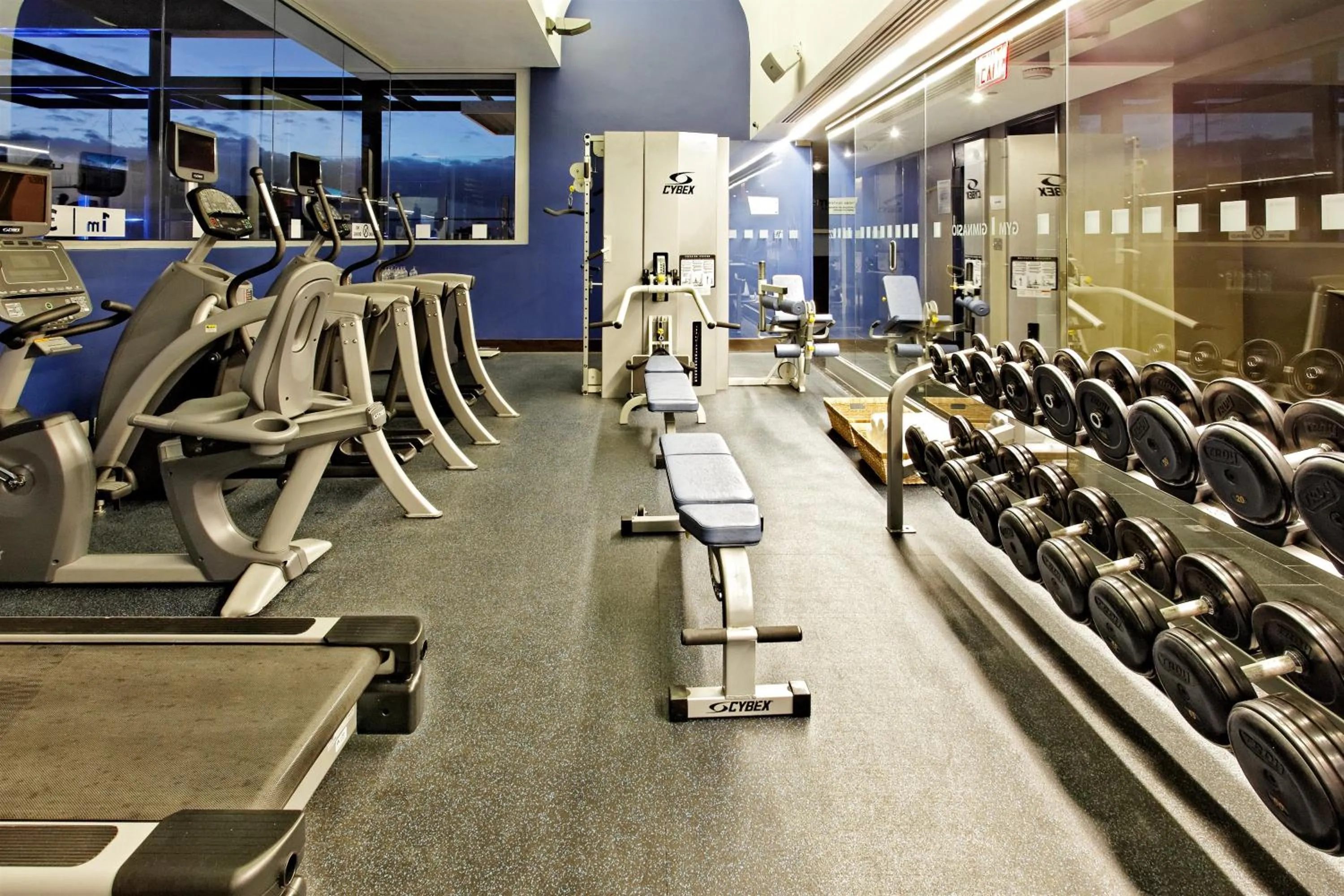 Fitness centre/facilities in Holiday Inn Santo Domingo by IHG