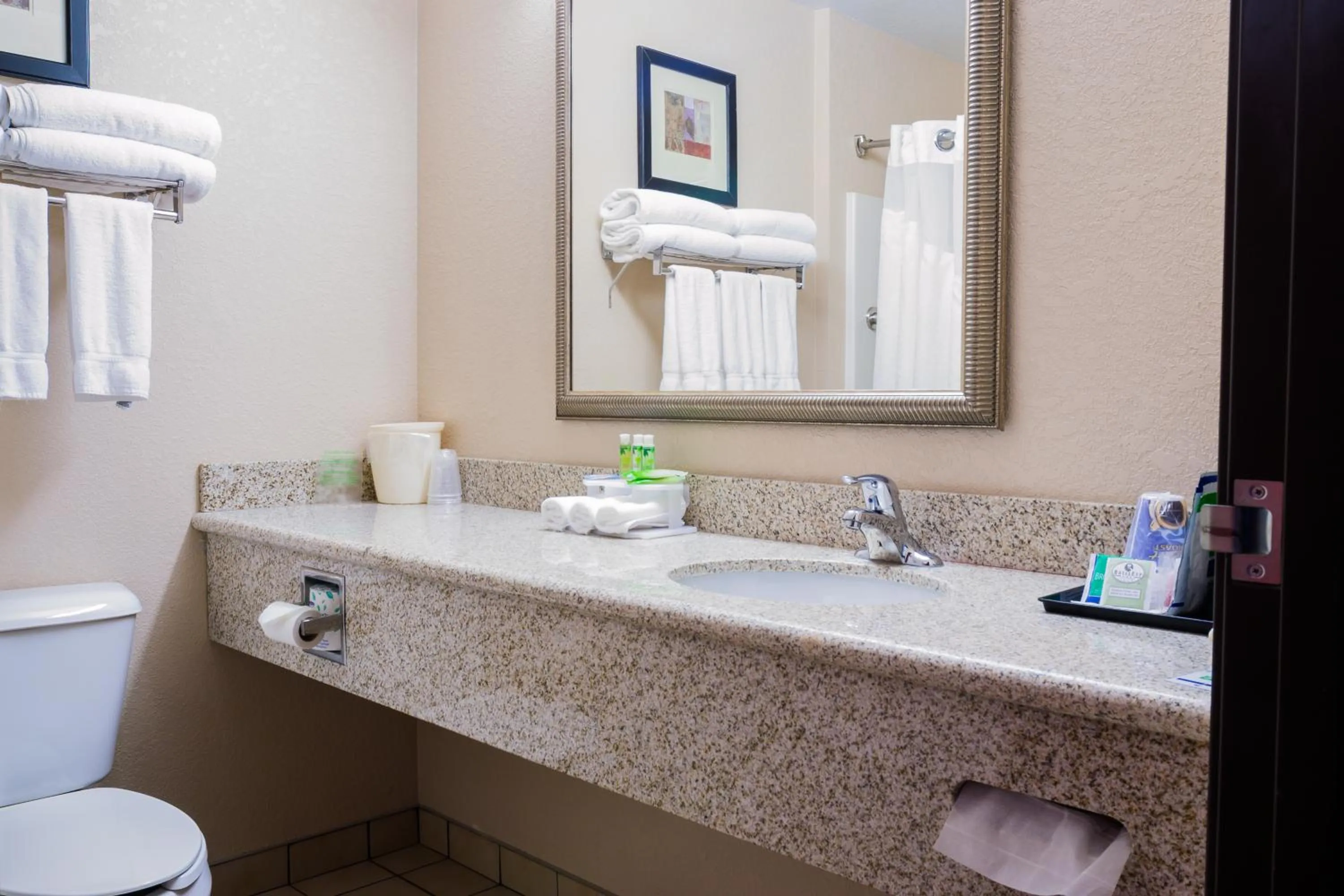 Bathroom in Holiday Inn Express Hotel & Suites Acme-Traverse City by IHG