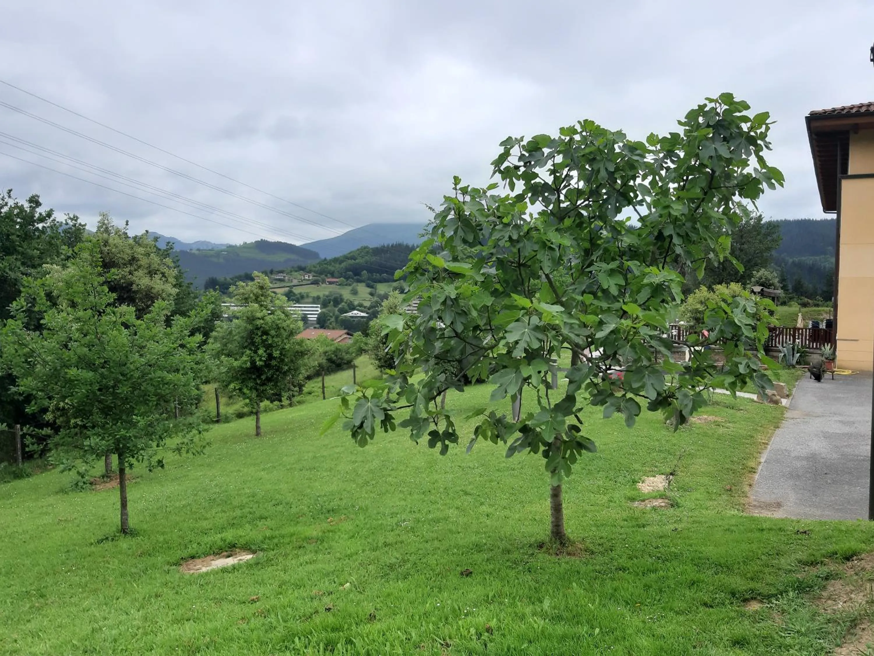 Garden in Hotel Santa Ana