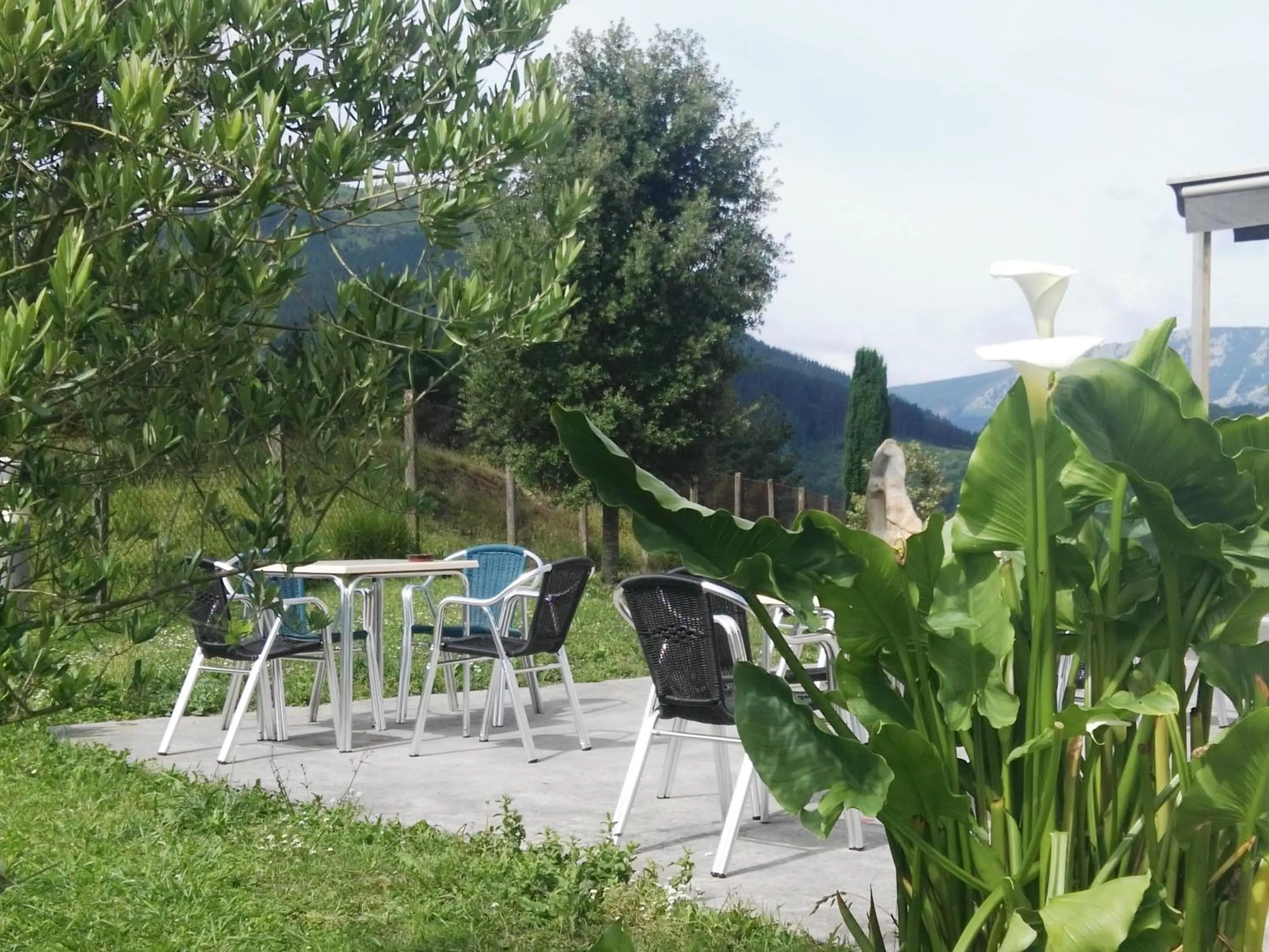 Property building in Hotel Santa Ana