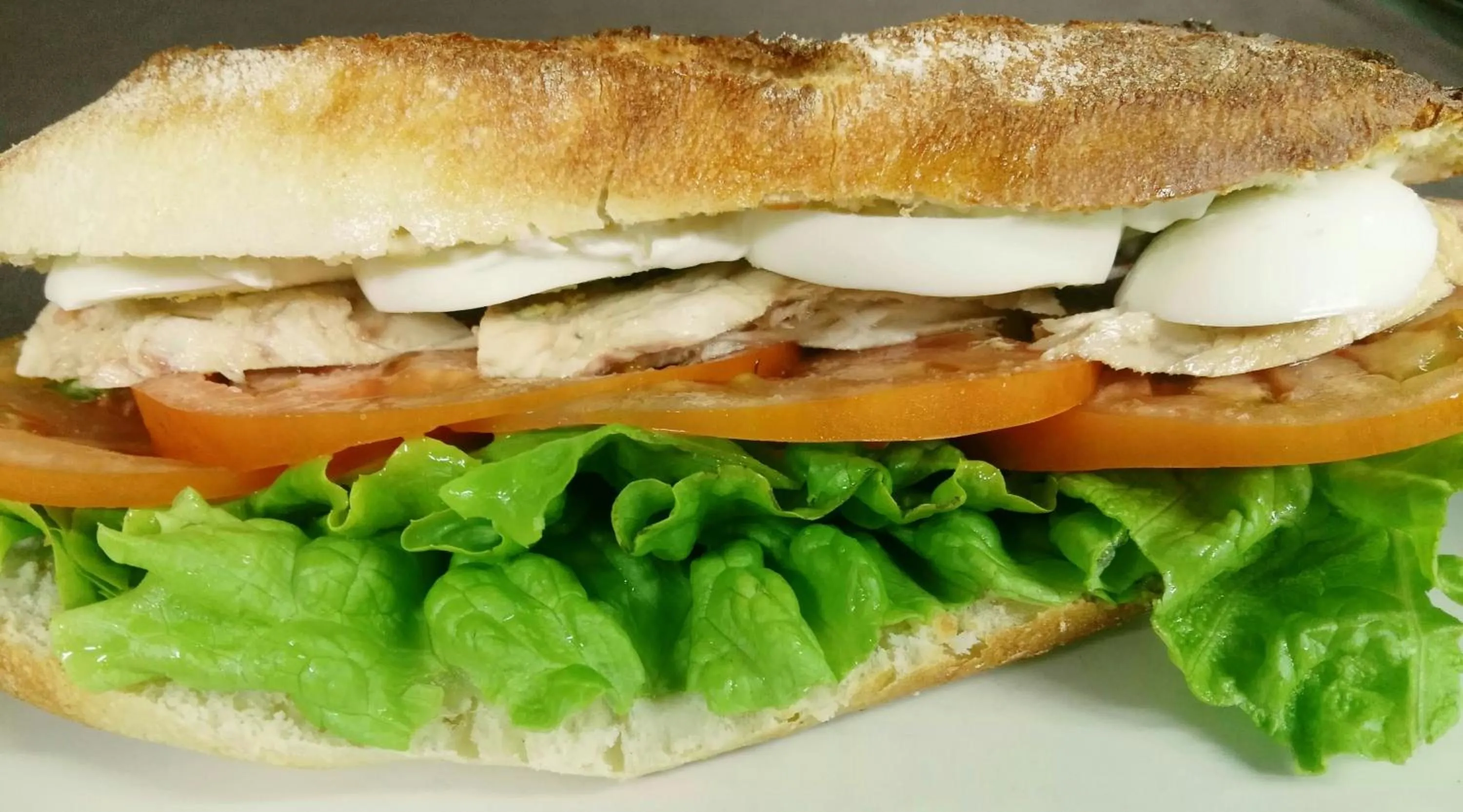 Restaurant/places to eat in Hotel Santa Ana