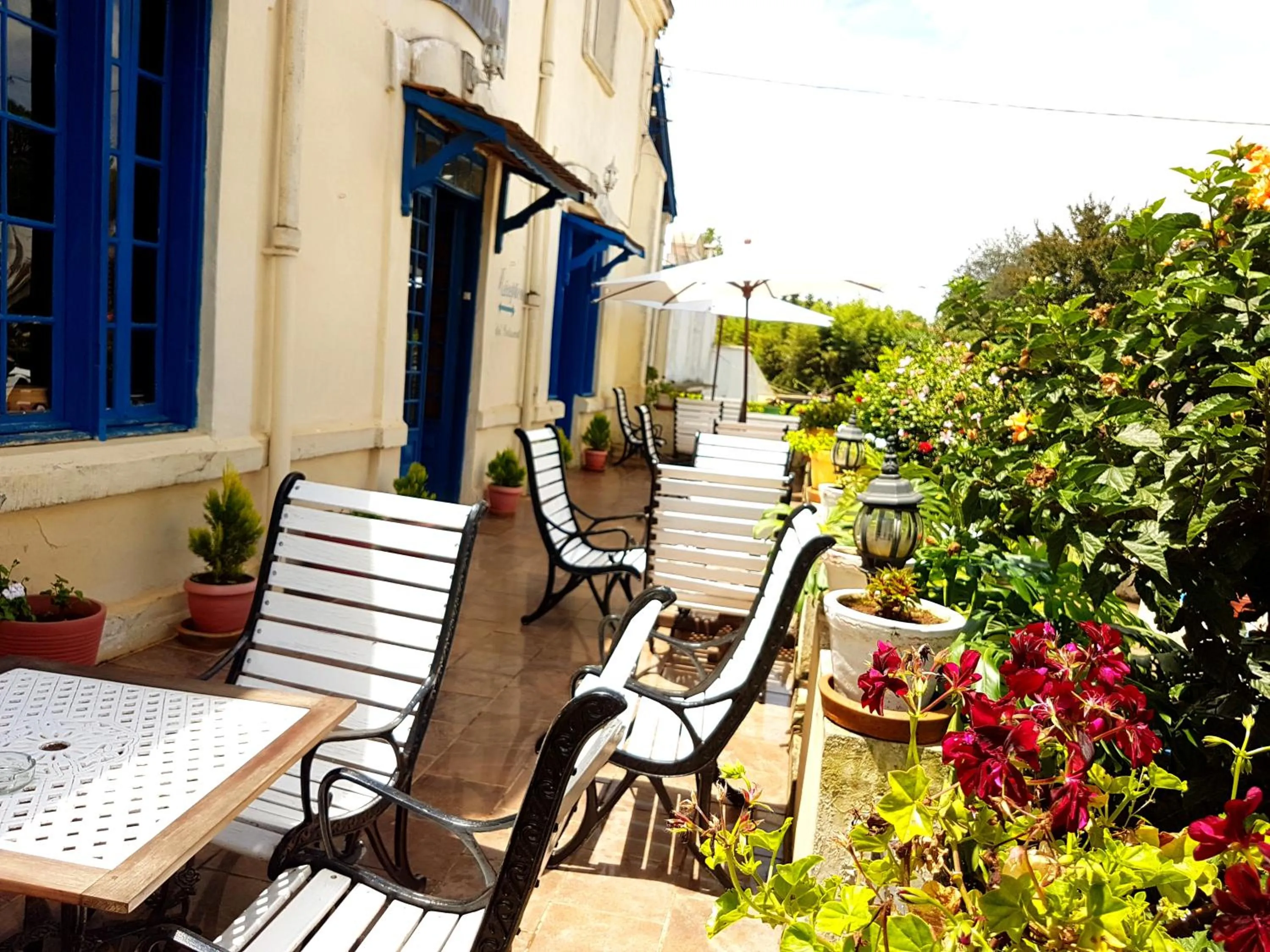 Balcony/Terrace in Hotel le Trianon