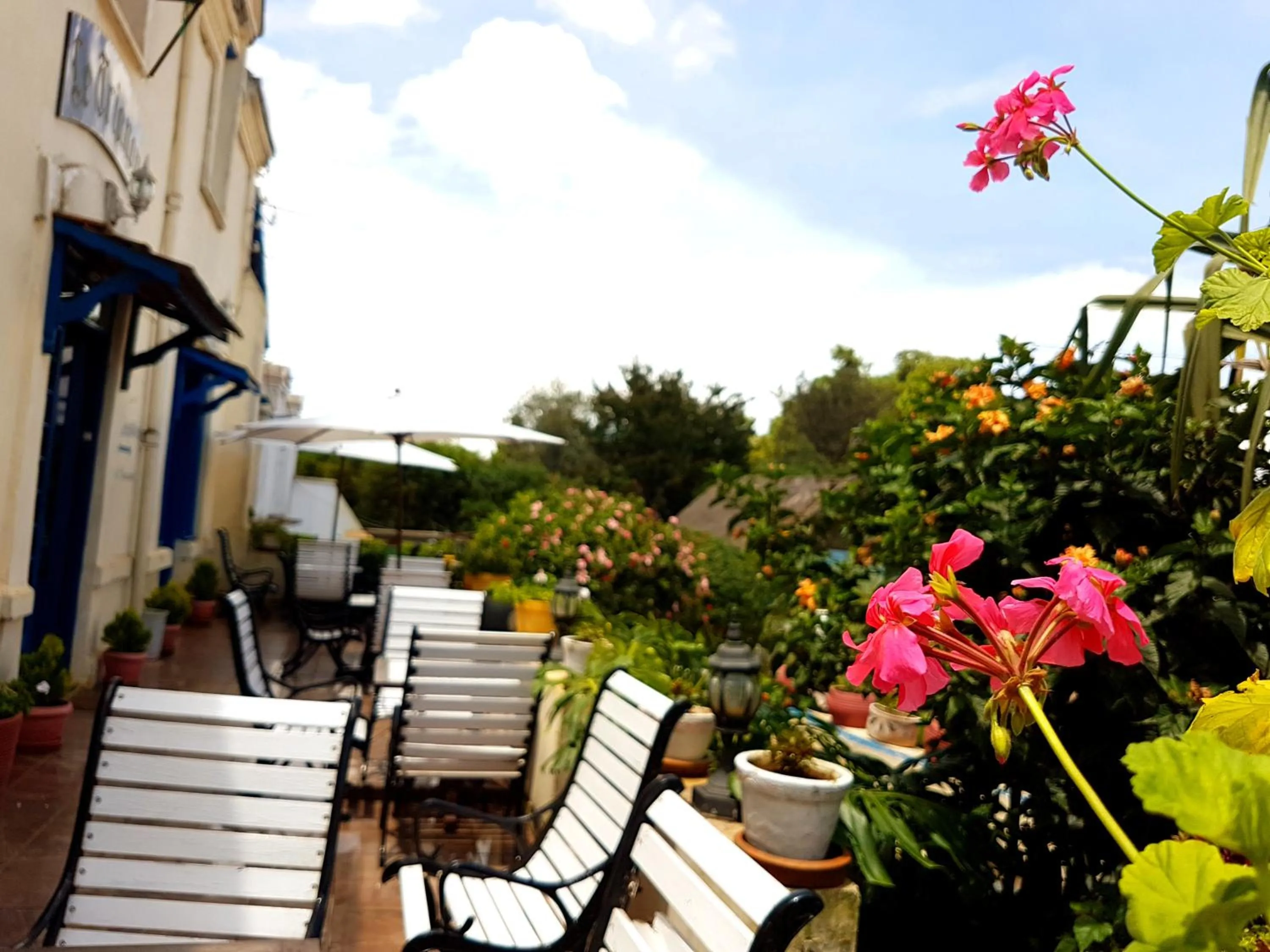 Balcony/Terrace in Hotel le Trianon