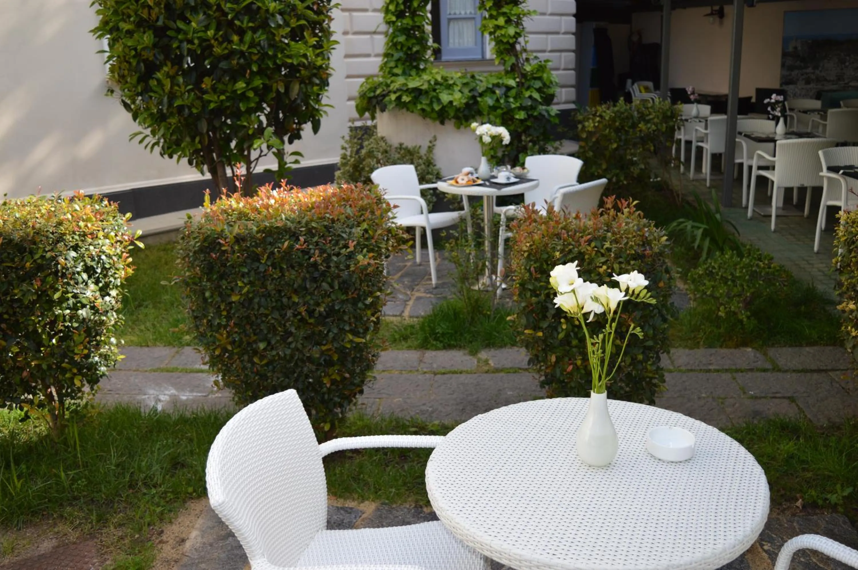 Garden in Villa Vittoria Tropea B&B