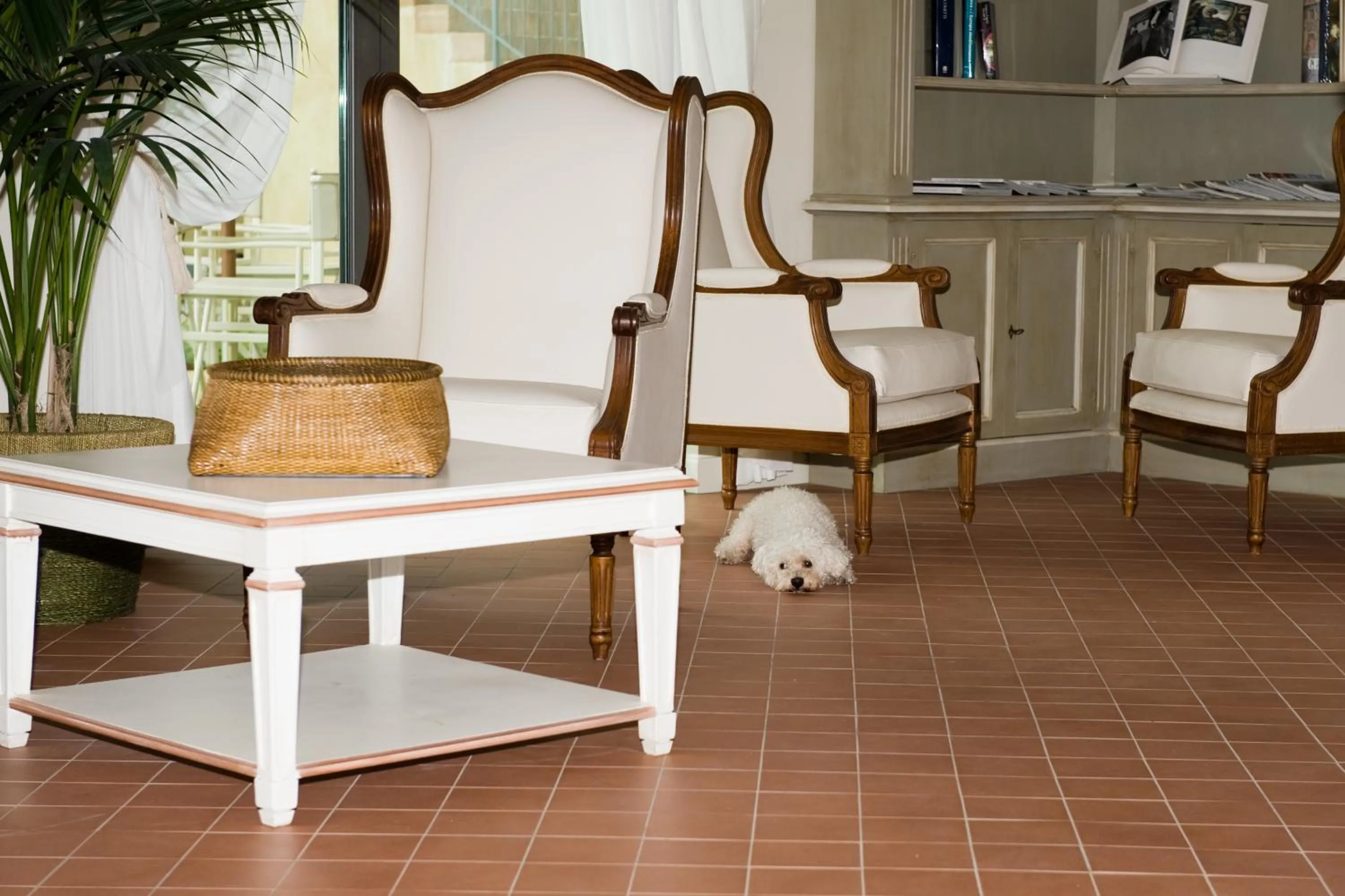 Lobby or reception in Villa Agnese