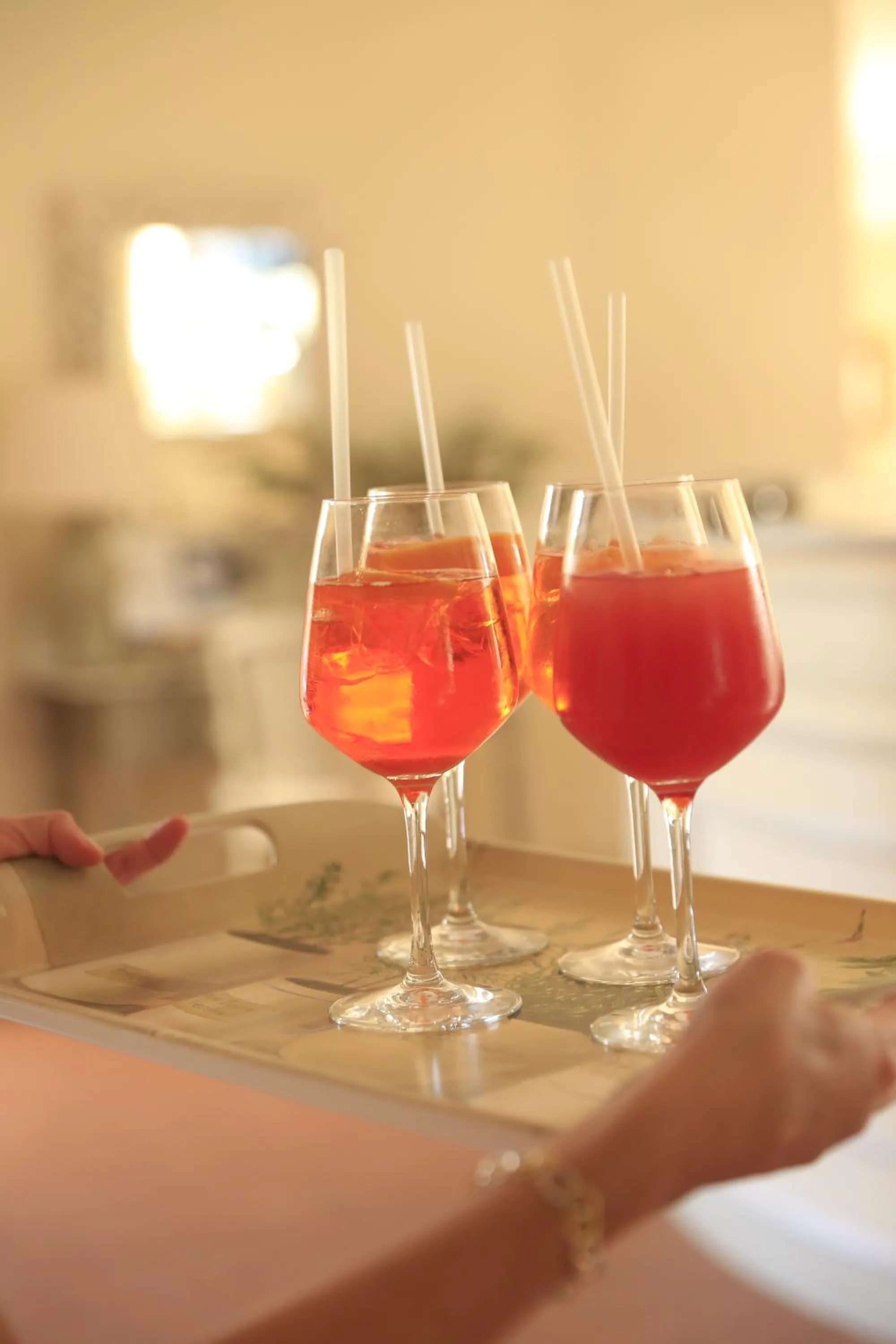 Drinks in Villa Agnese