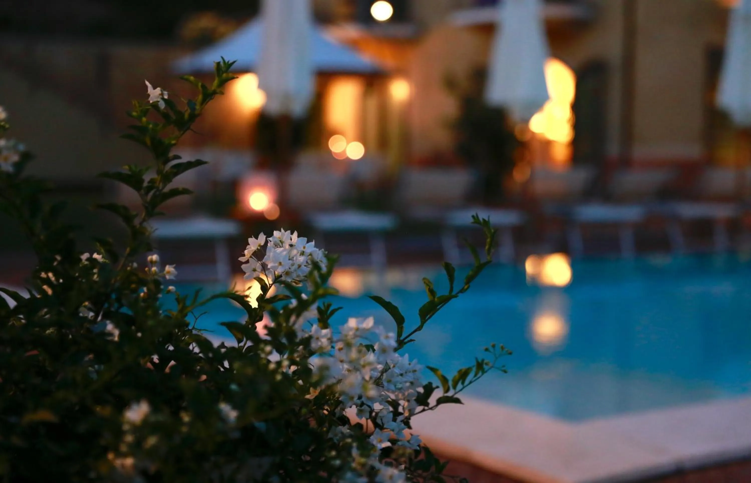 Garden in Villa Agnese