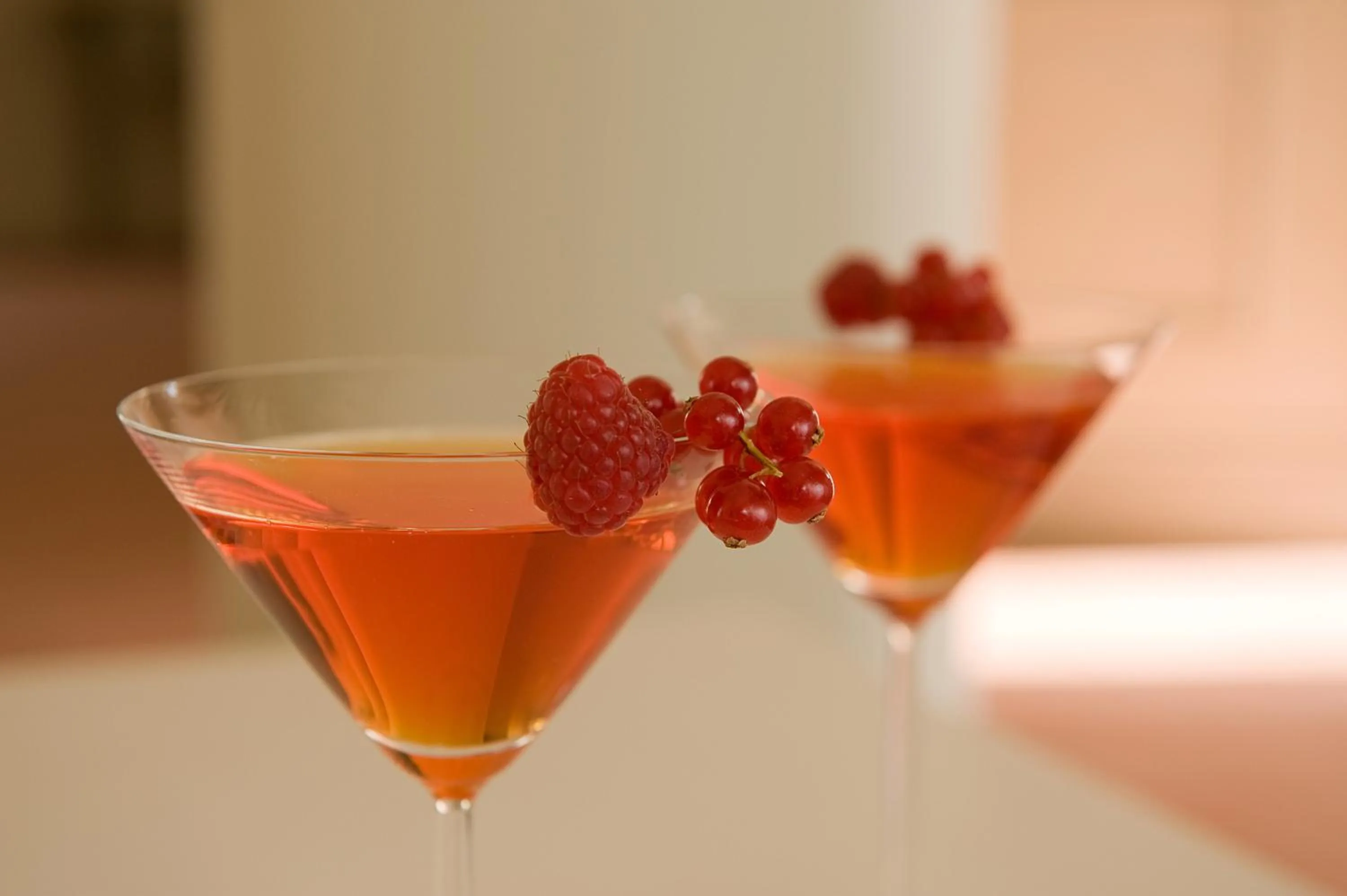 Drinks in Villa Agnese