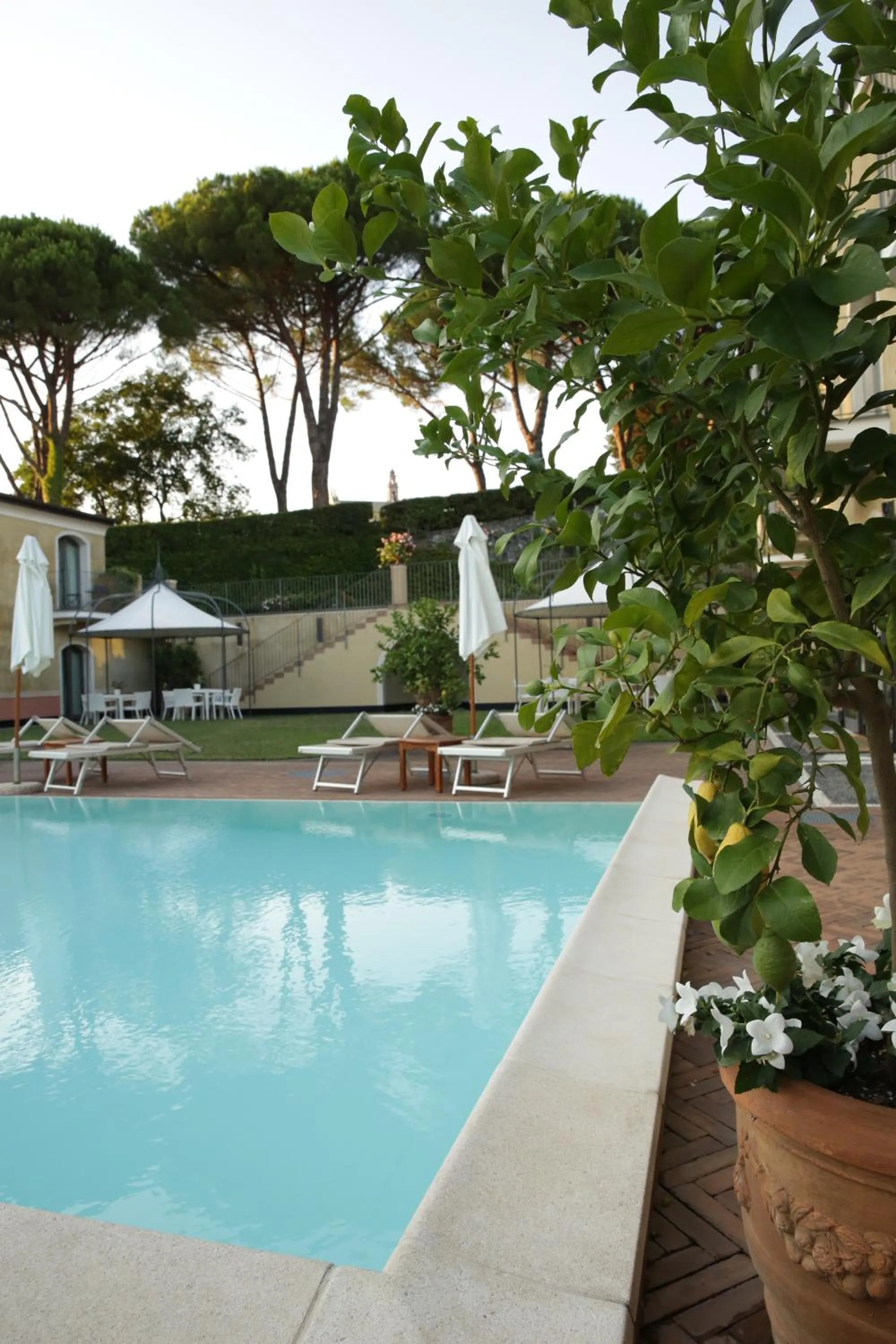 Swimming pool in Villa Agnese