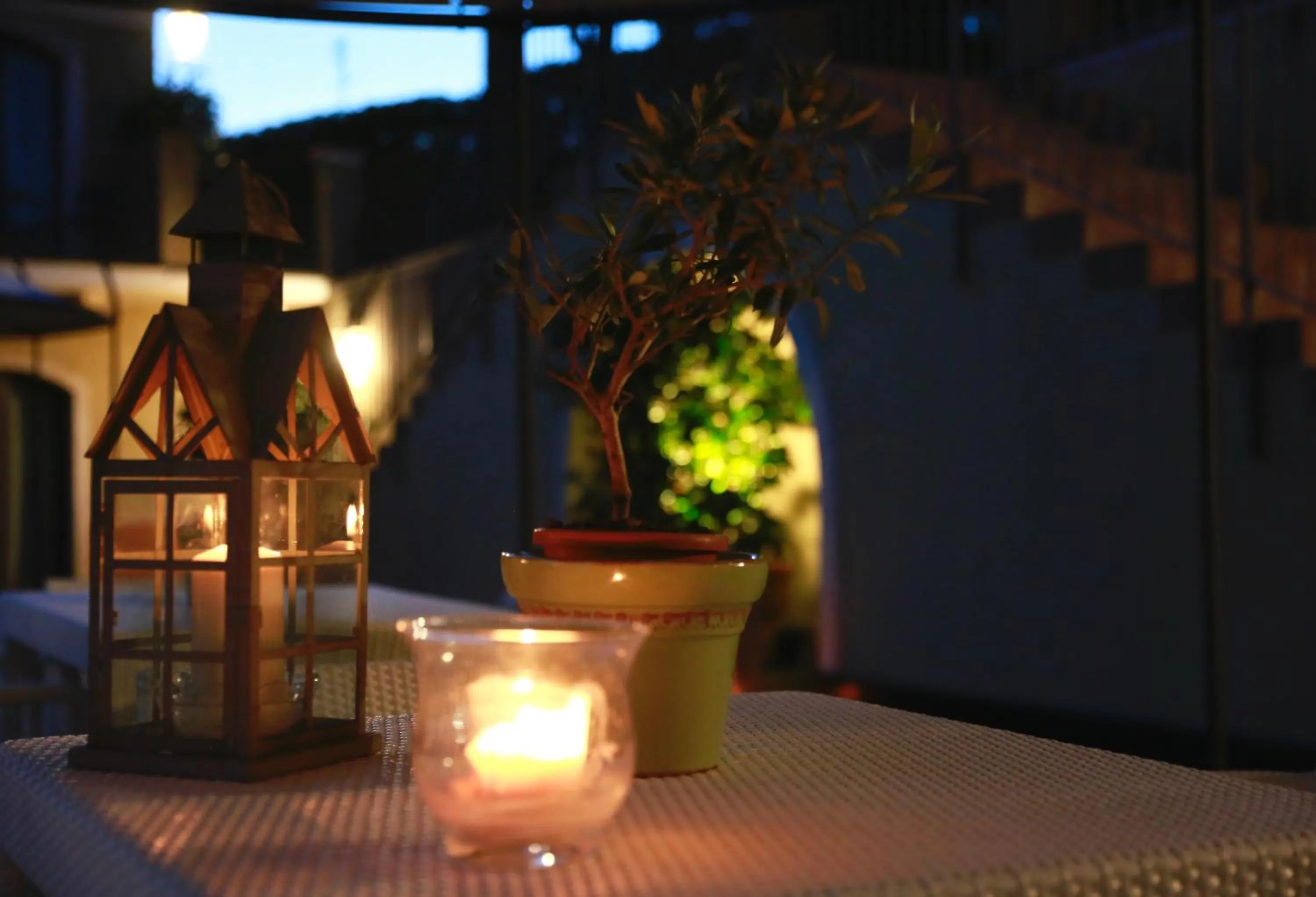Garden in Villa Agnese