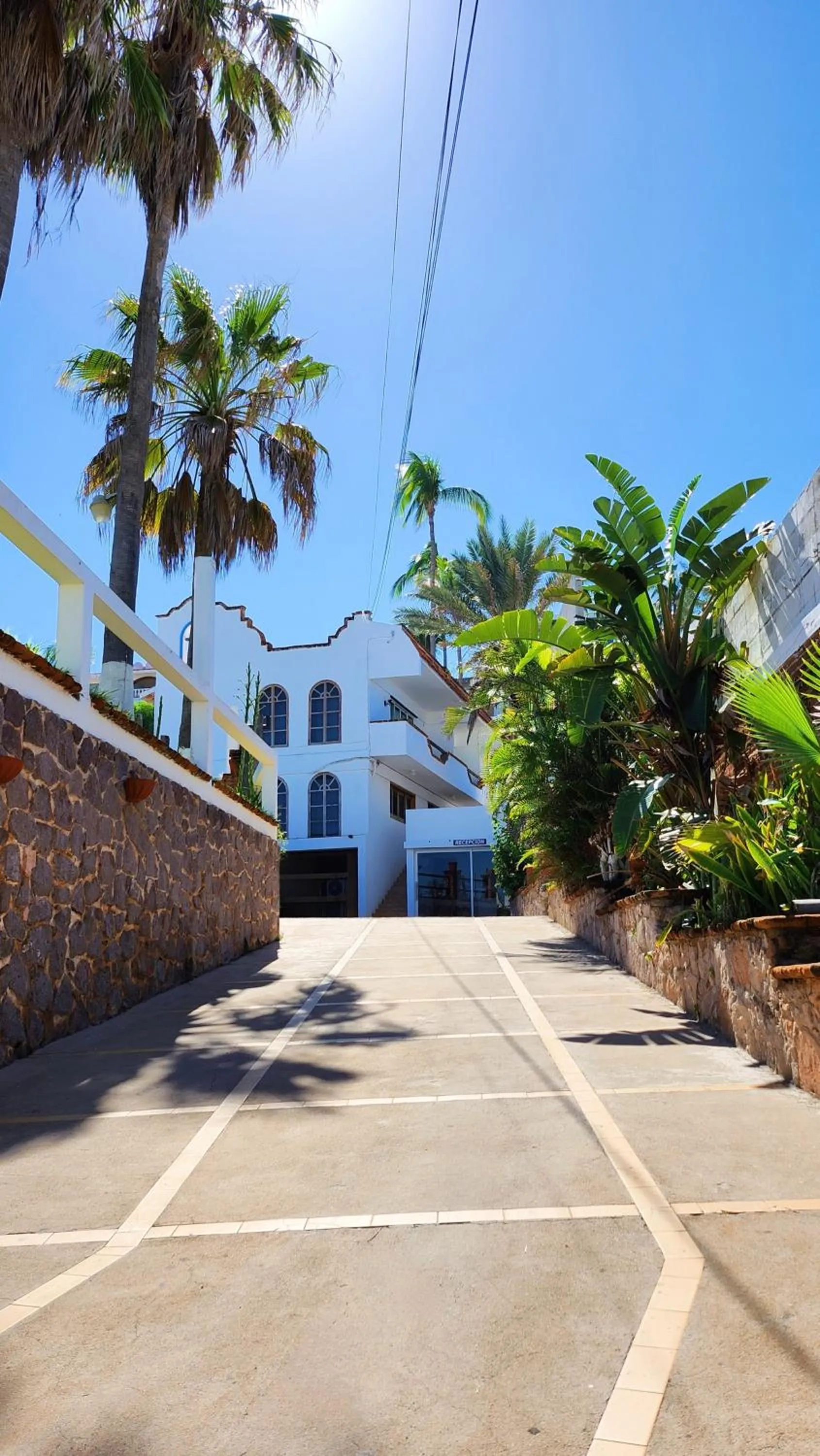 Property building in Hill House Mazatlan - Bed & Breakfast