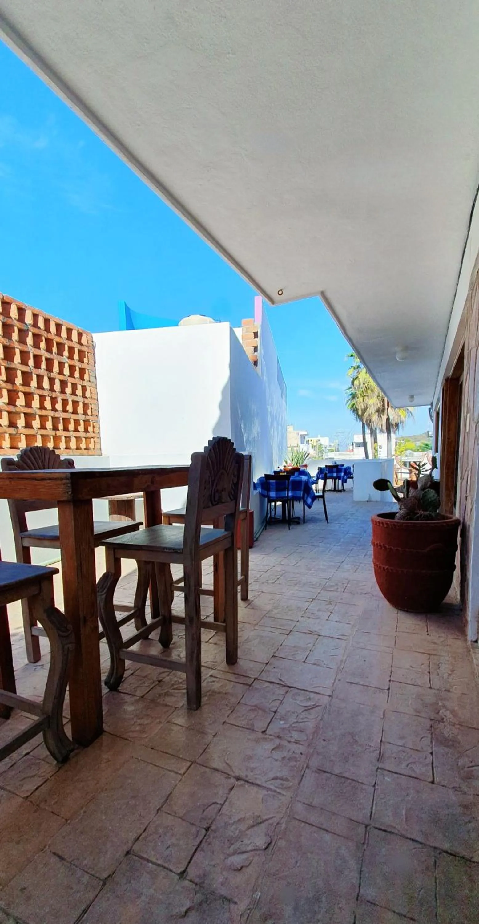 Property building in Hill House Mazatlan - Bed & Breakfast