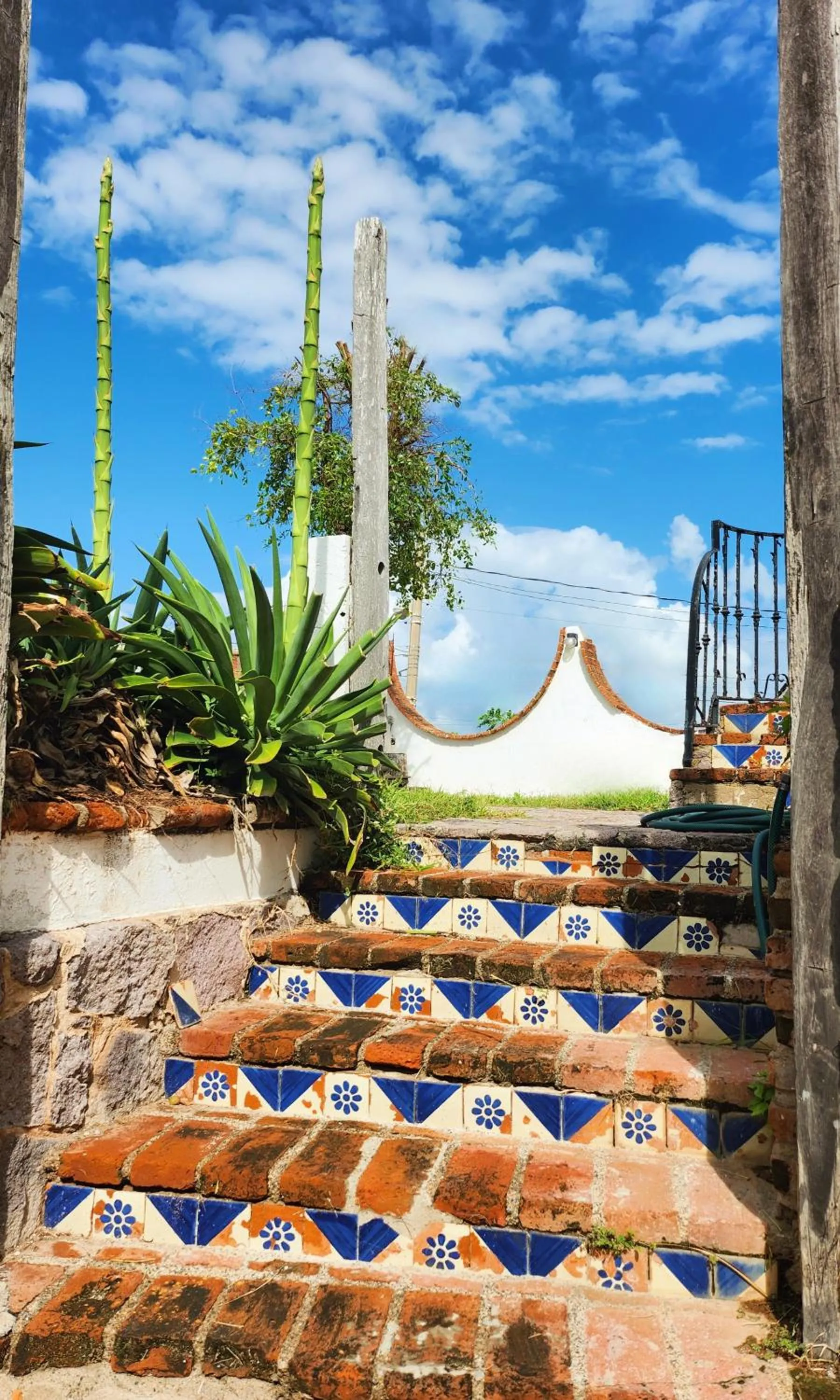 Patio in Hill House Mazatlan - Bed & Breakfast