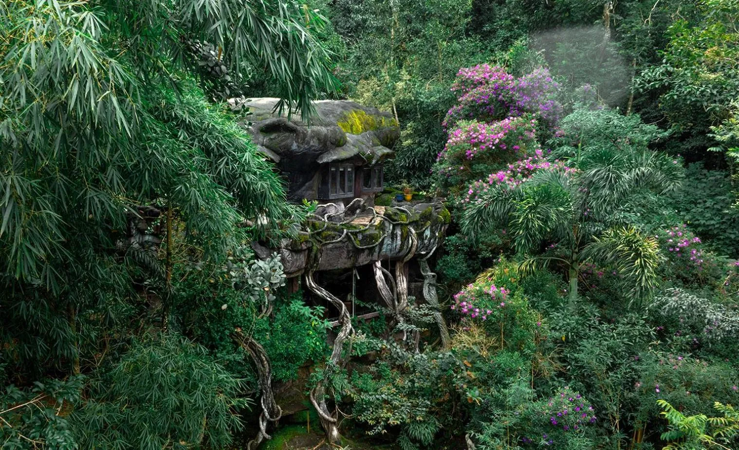 Spring in Parakkat Nature Resort