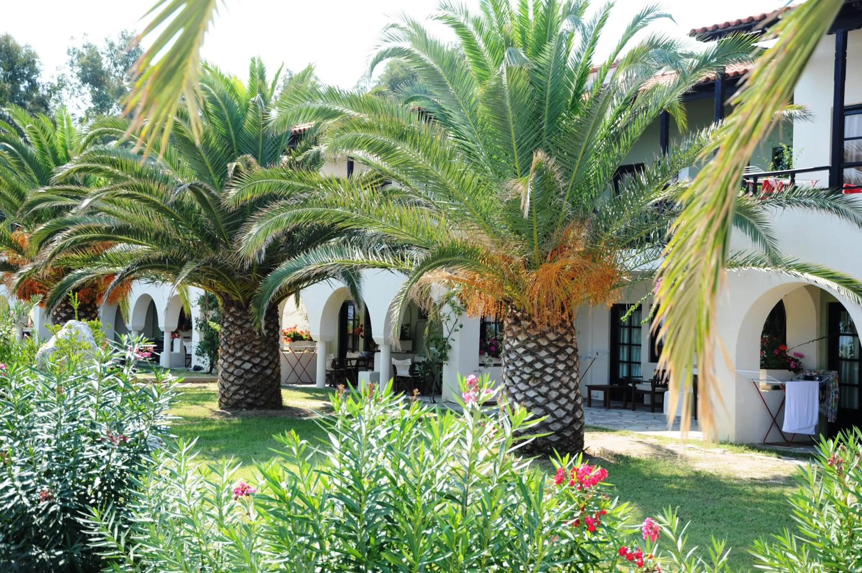 Garden in Assa Maris Beach Hotel