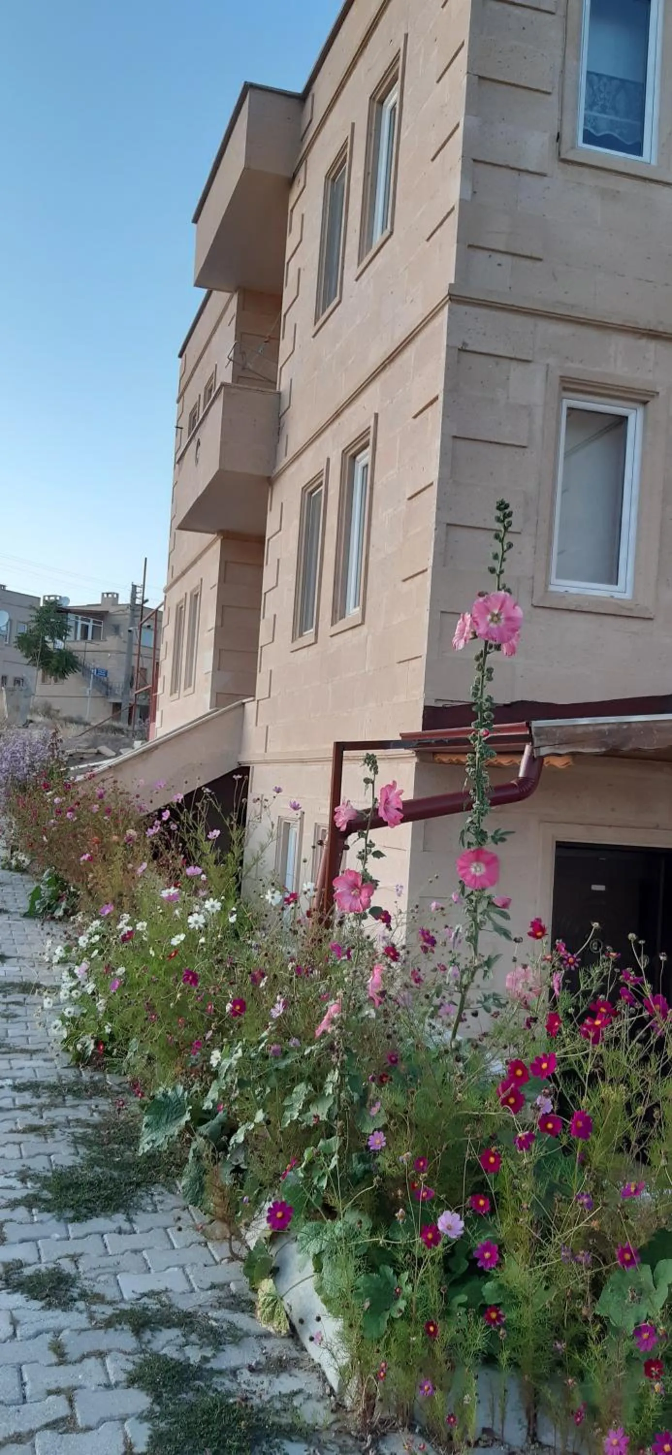 Dirilis Banarya Apart hotel