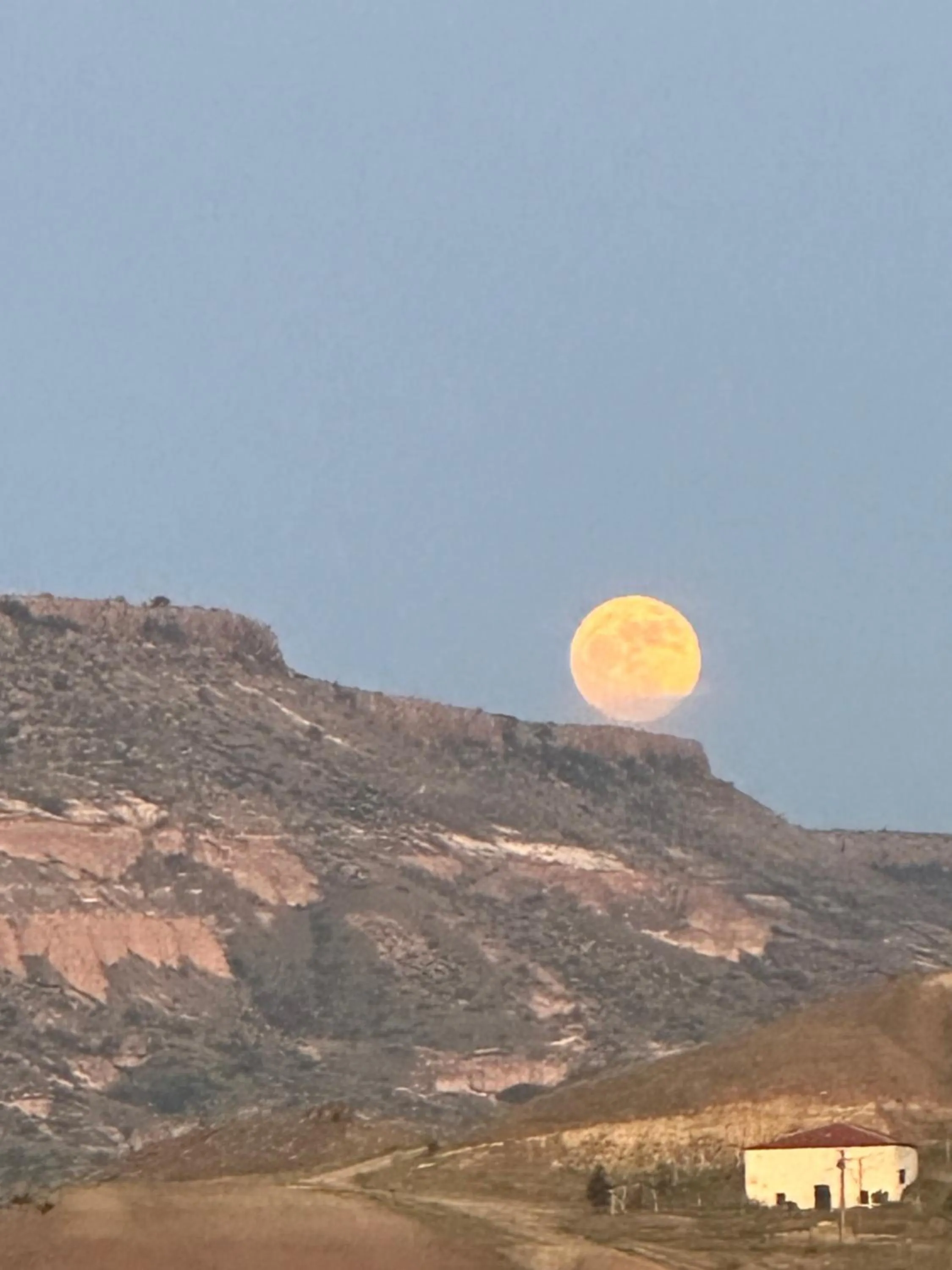 Natural landscape in Dirilis Banarya Apart hotel