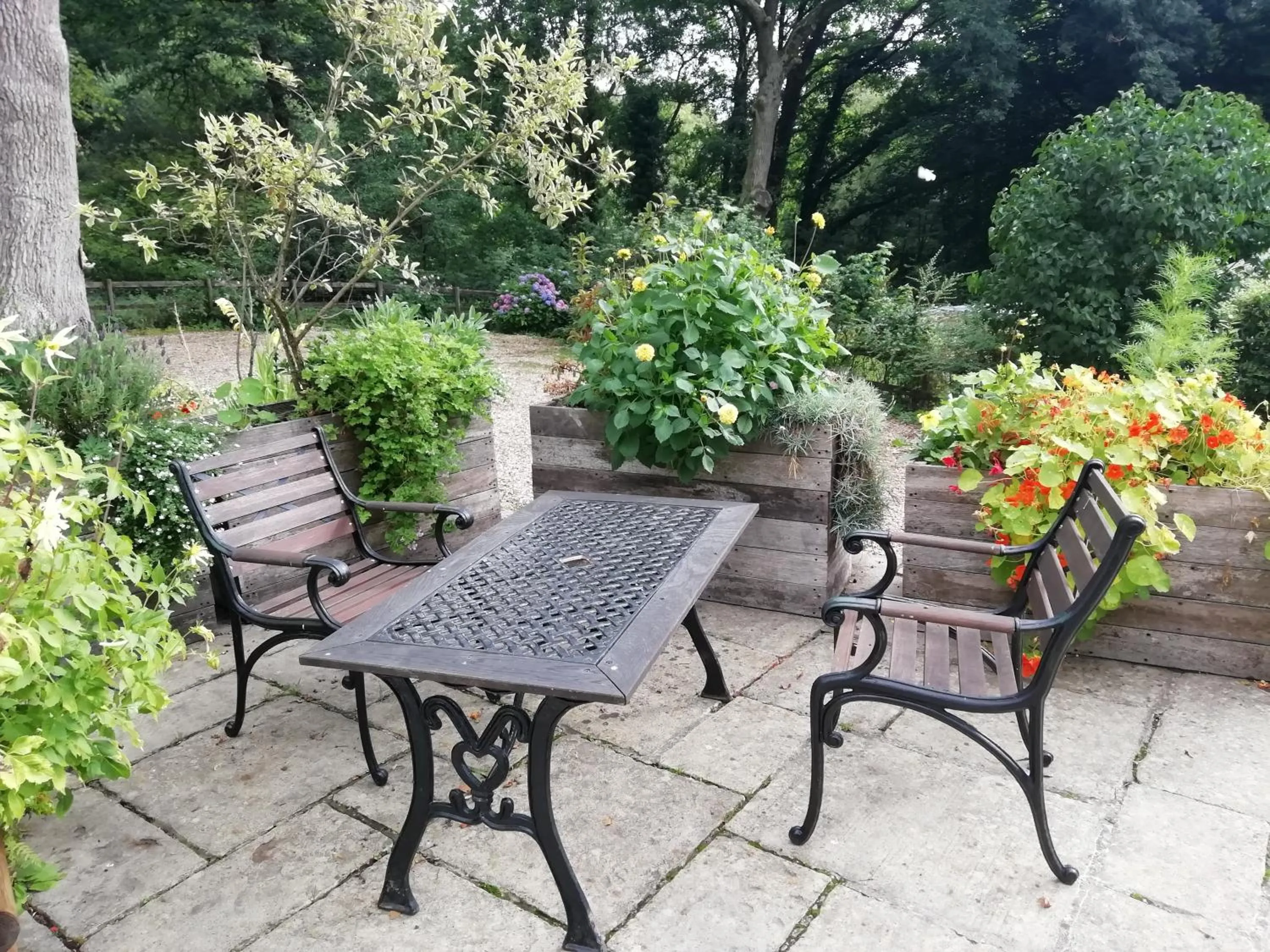 Patio in records place