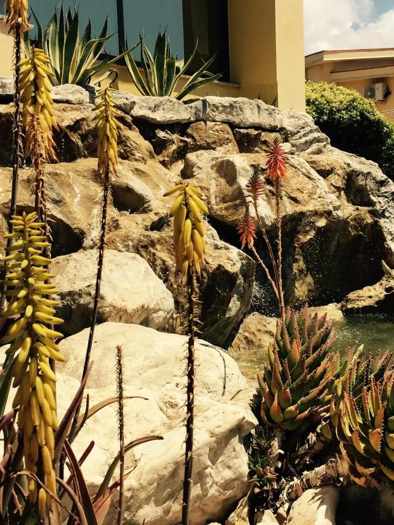 Garden in Hotel La Principessa