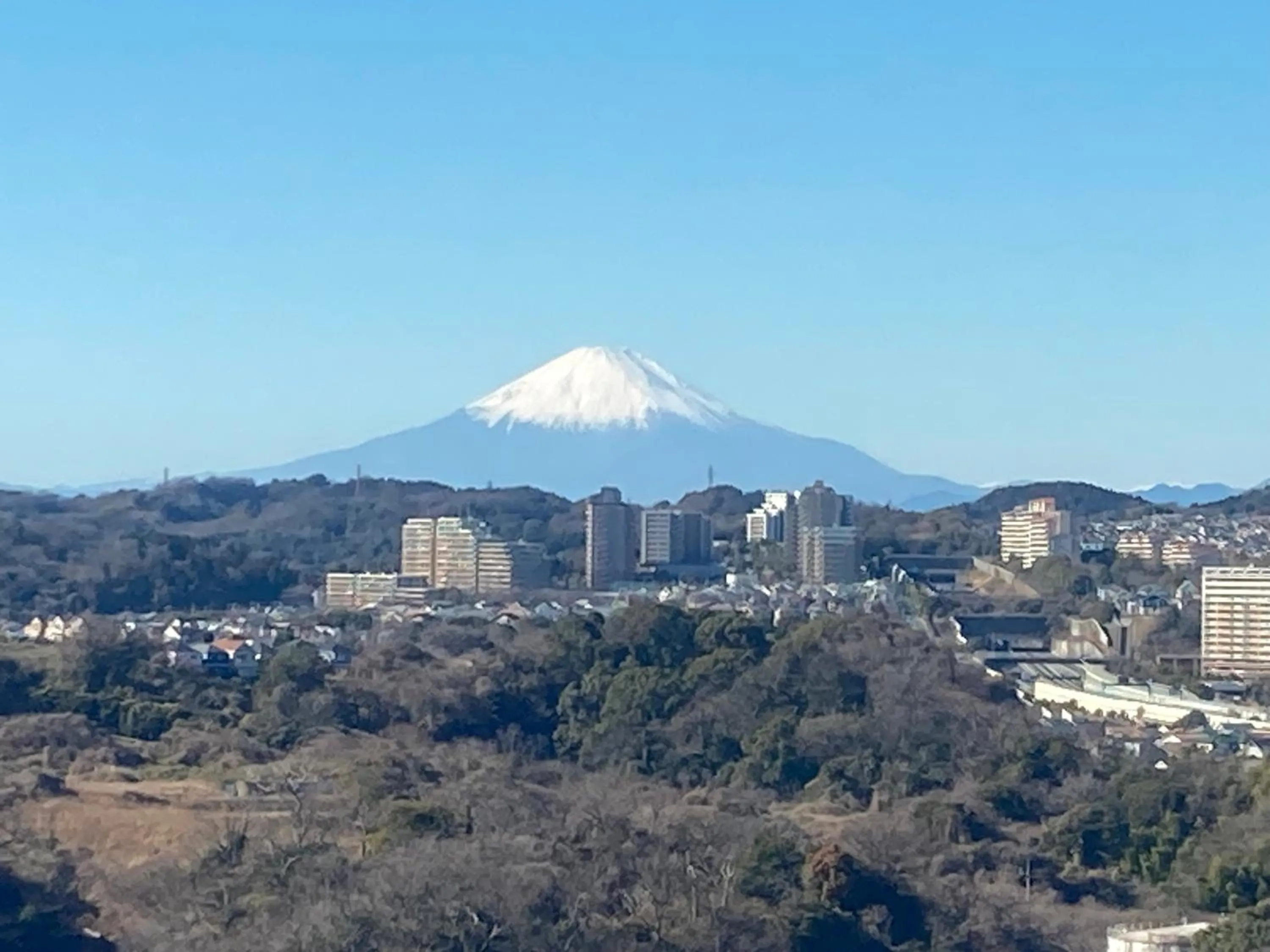 Natural landscape in Yokohama Techno Tower Hotel