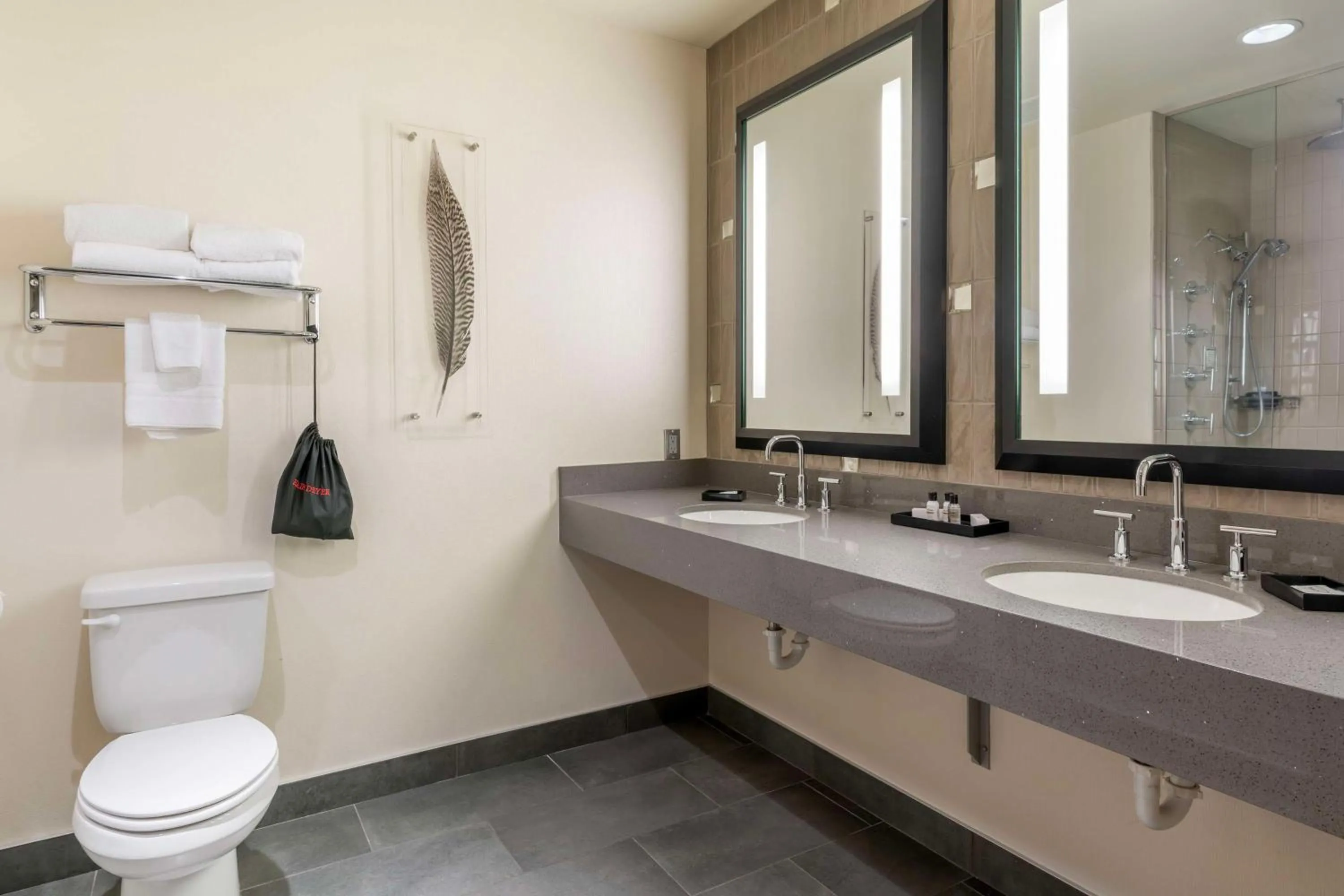 Bathroom in Best Western Premier Boulder Falls Inn