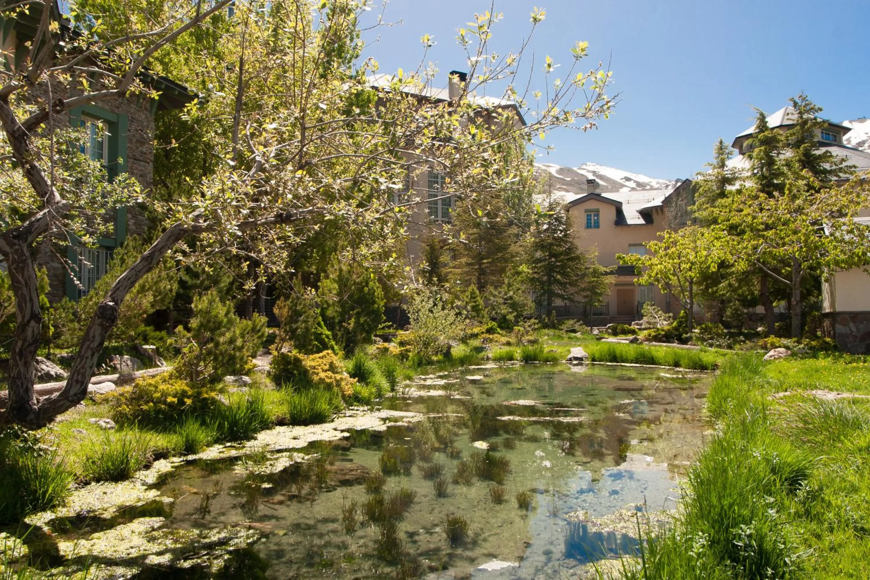 Day in Hotel Apartamentos Trevenque