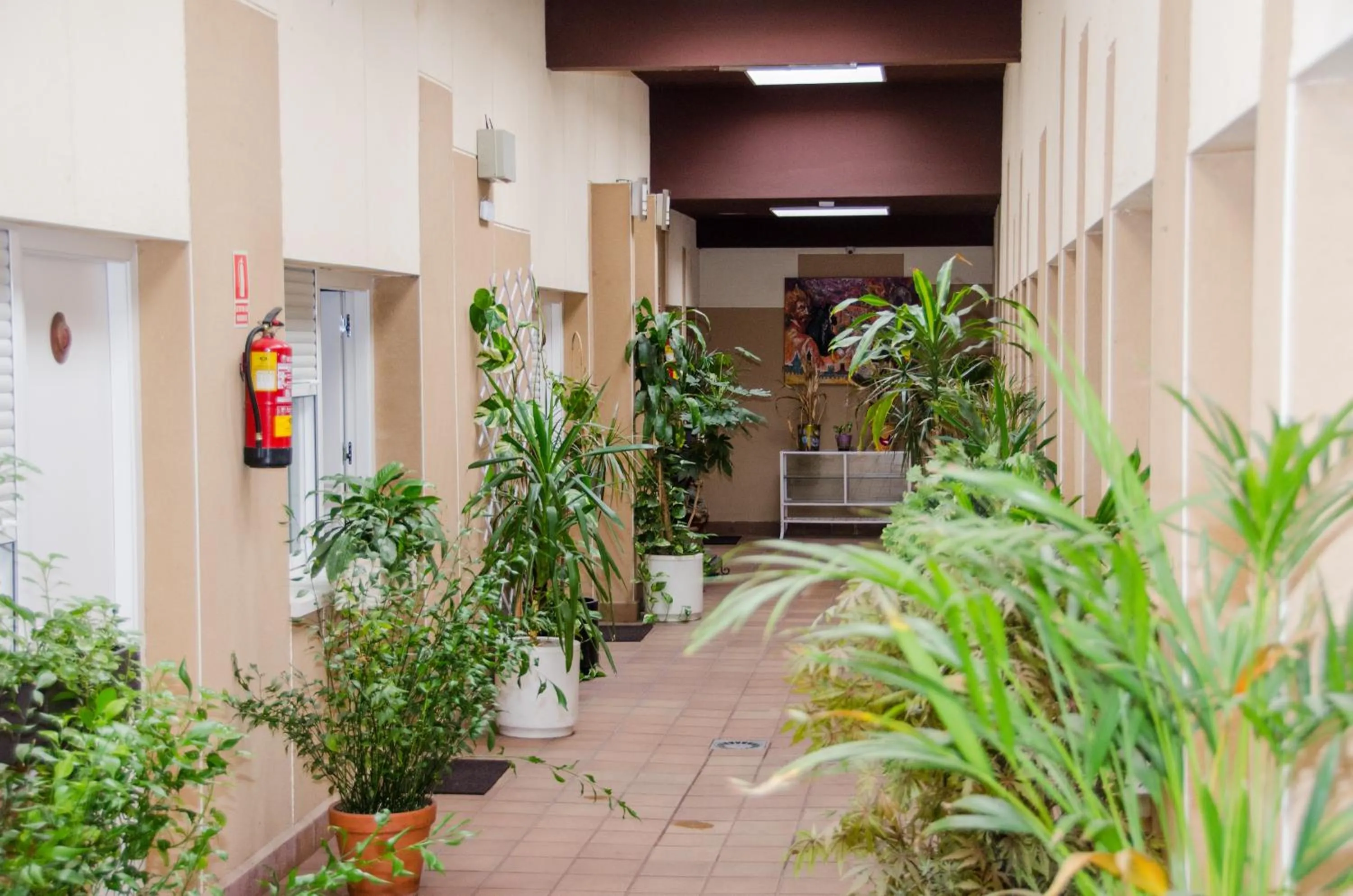 Patio in Ciudad de Alcala