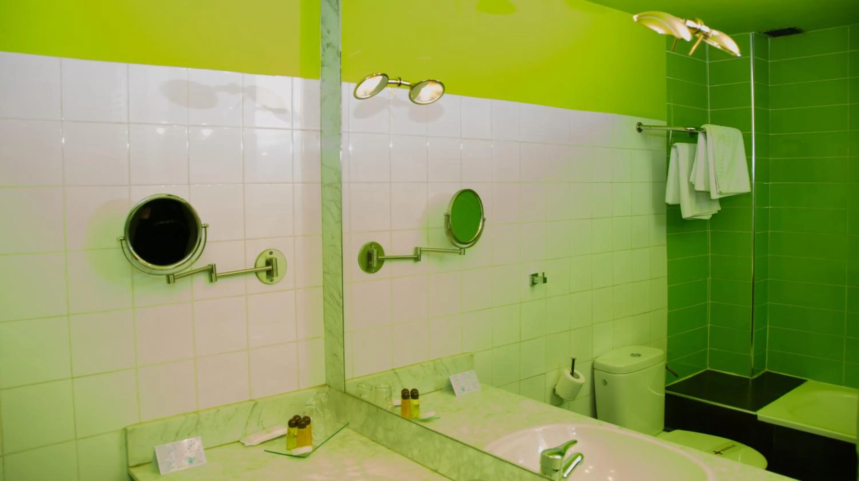 Toilet in Ciudad de Alcala