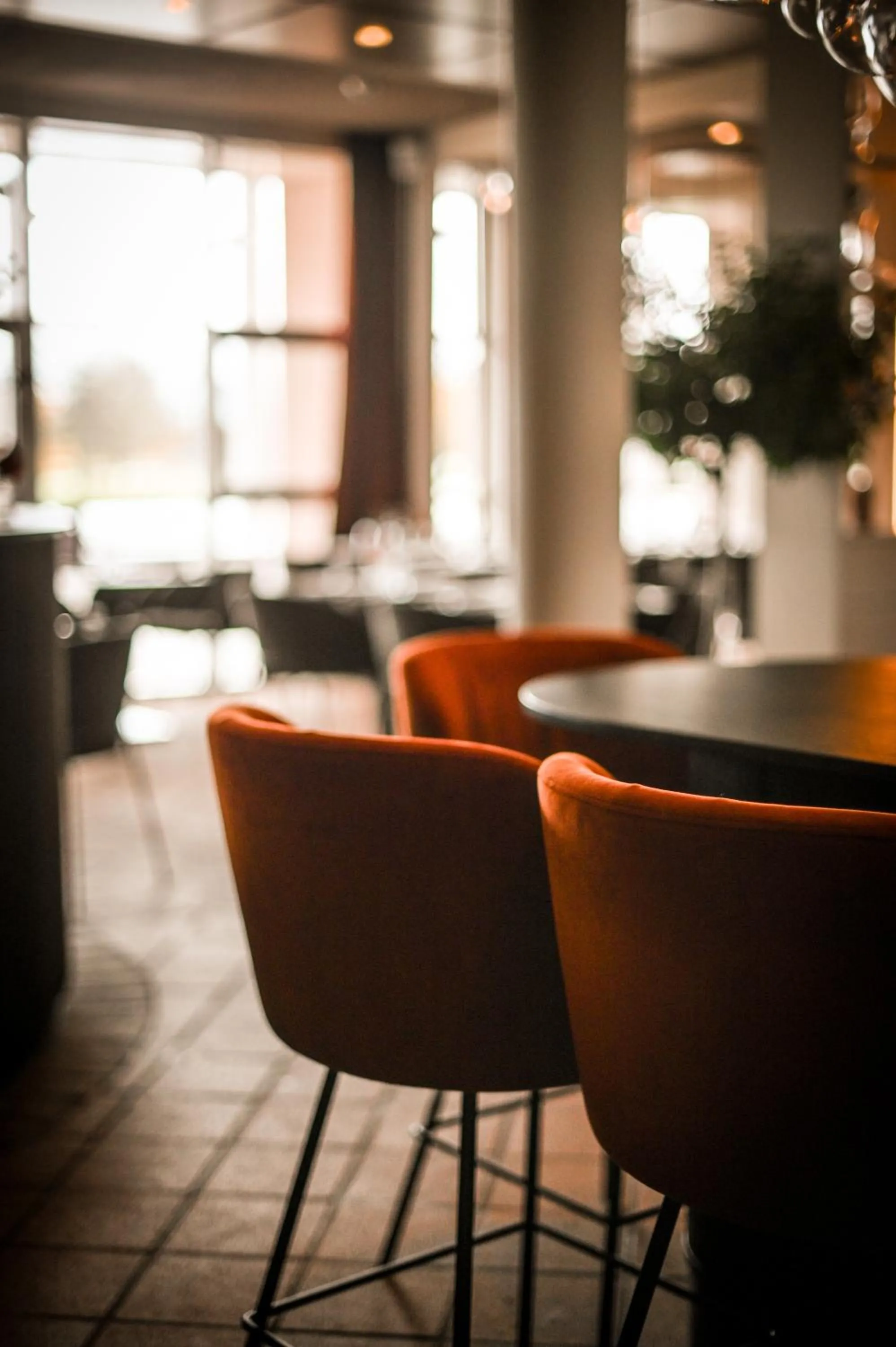 Restaurant/places to eat in Golfhotel & Restaurant Lindenhof