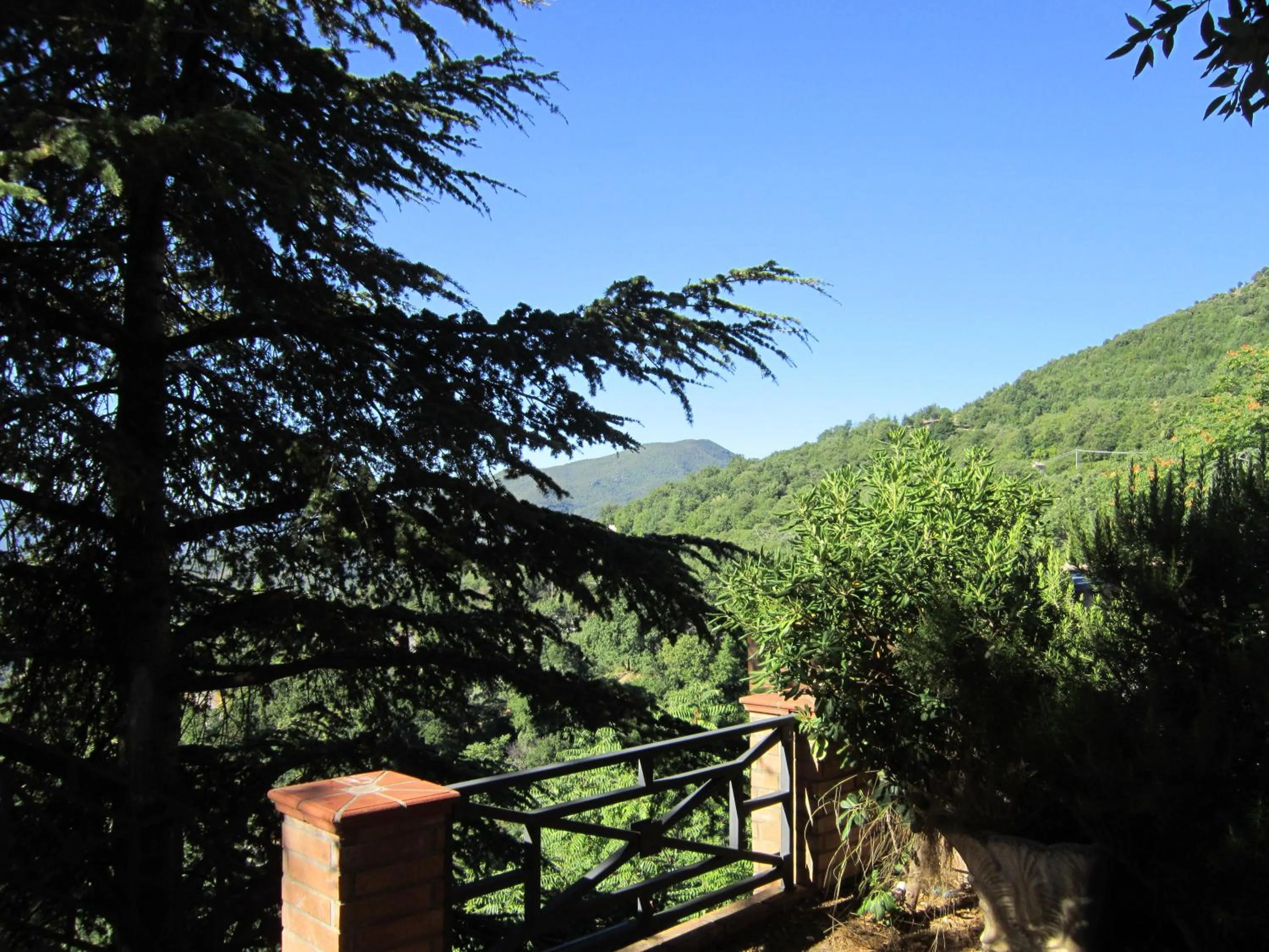 Area and facilities in B&B Il Nido dell'Aquila