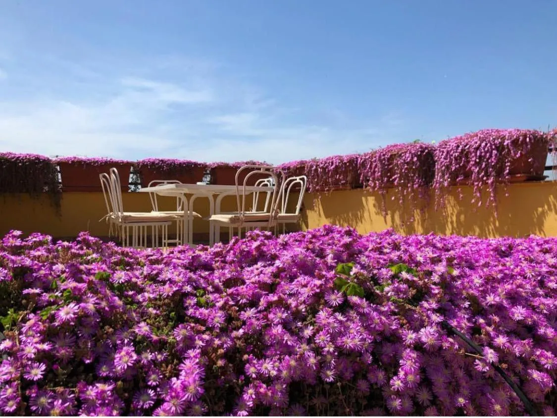 Area and facilities in Palazzo Sassi