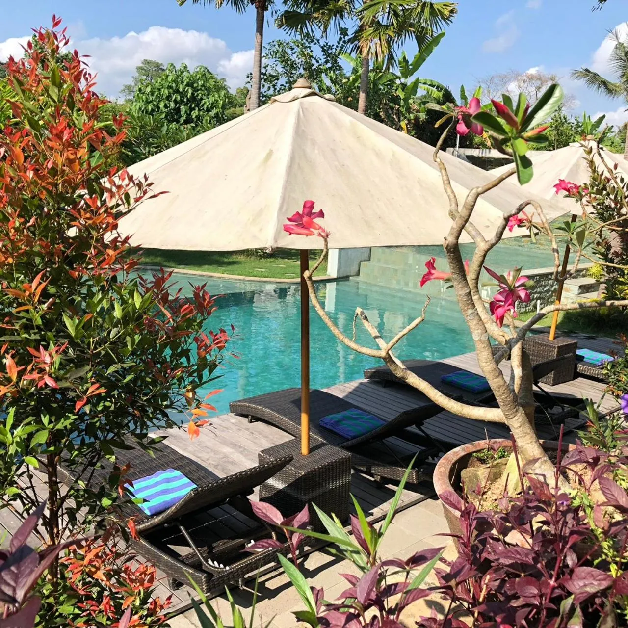 Patio in Betutu Bali Villas