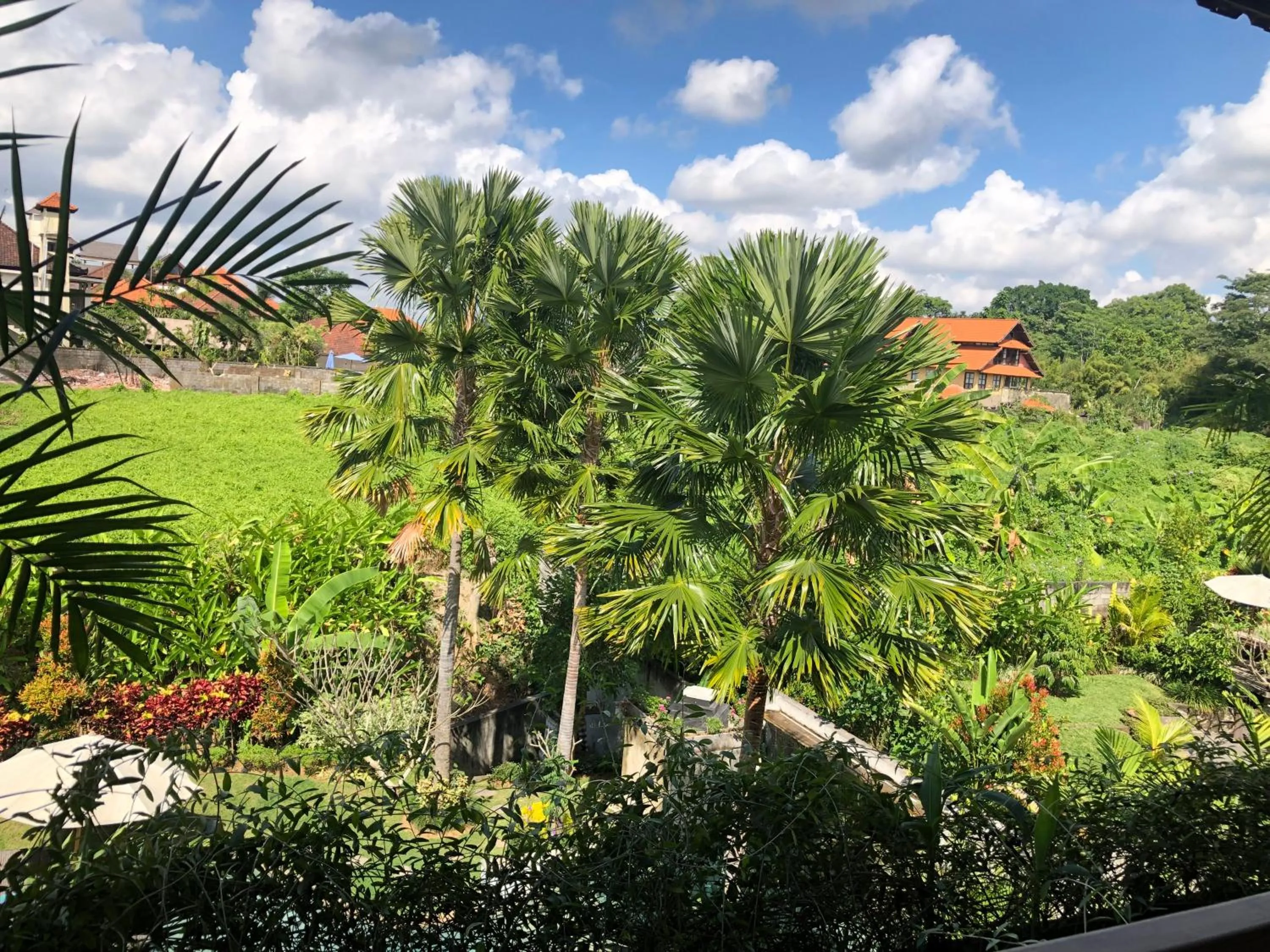 Garden view in Betutu Bali Villas
