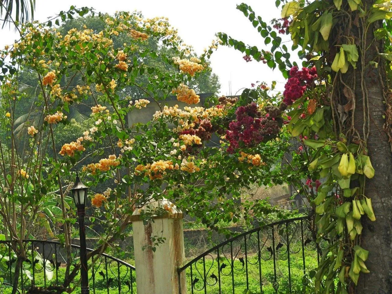 Garden in Boutique Villa, beach 10min, cook on request