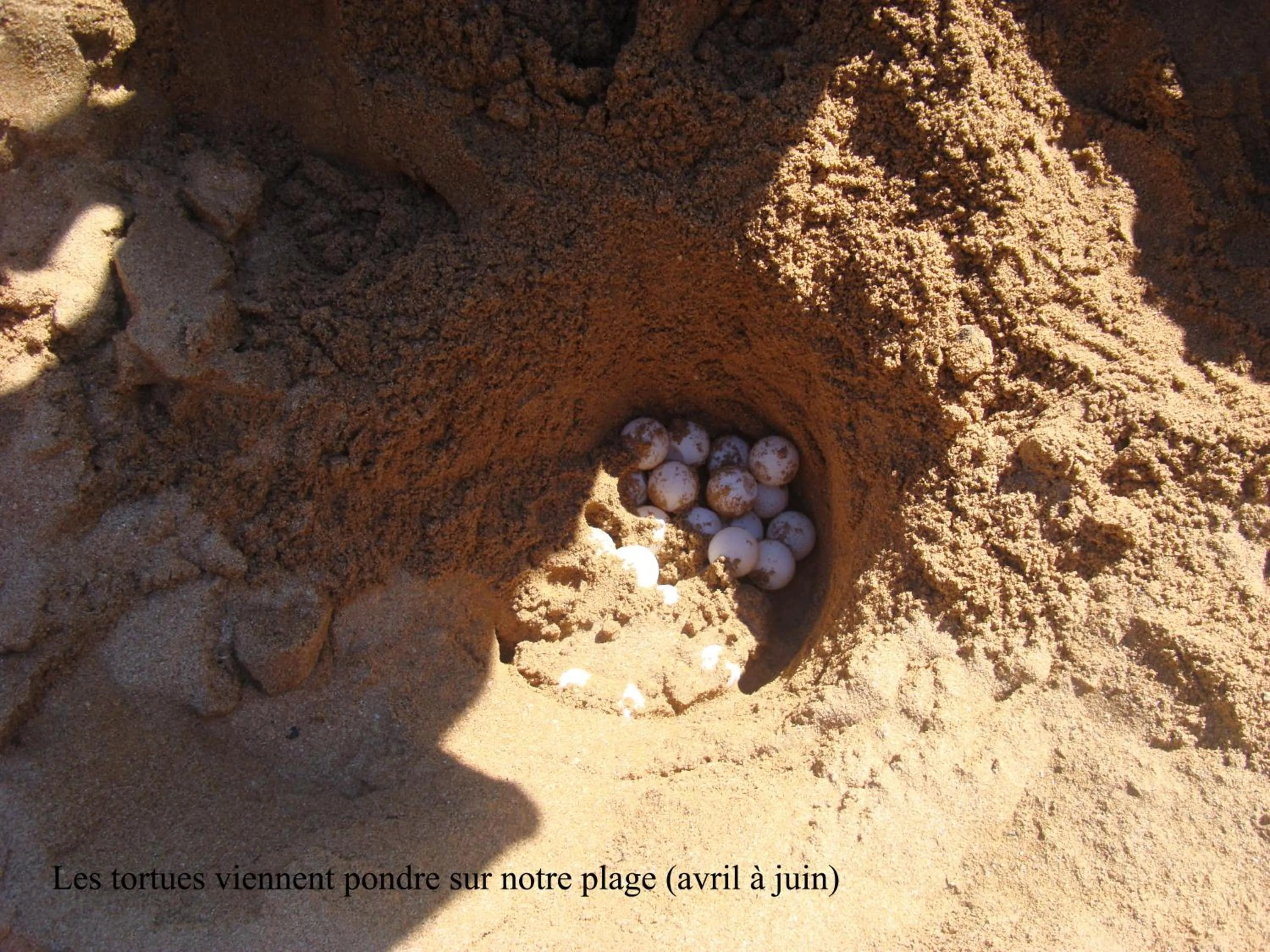 Beach in Hotel Océan Beach Sakatia