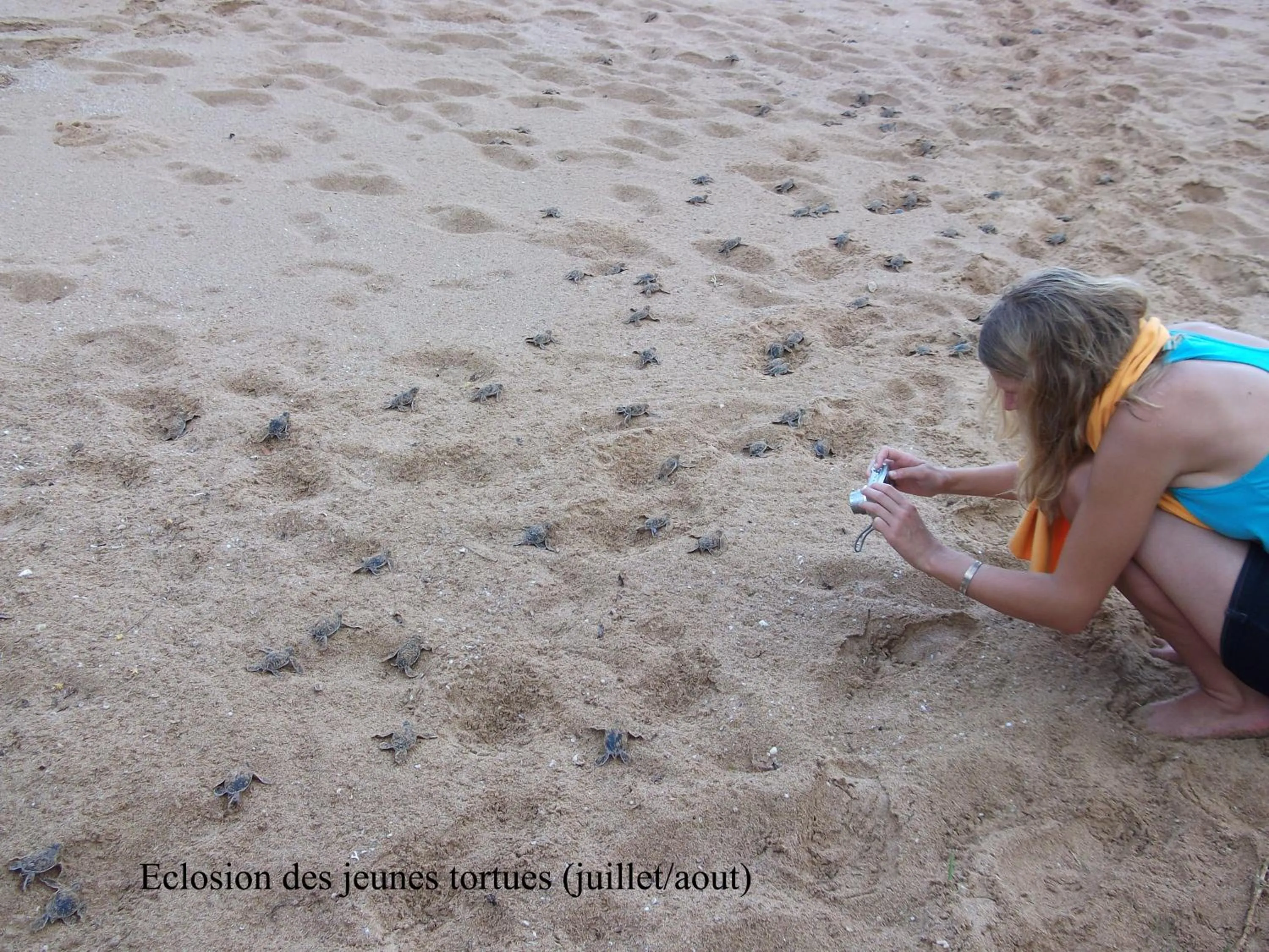 Beach in Hotel Océan Beach Sakatia
