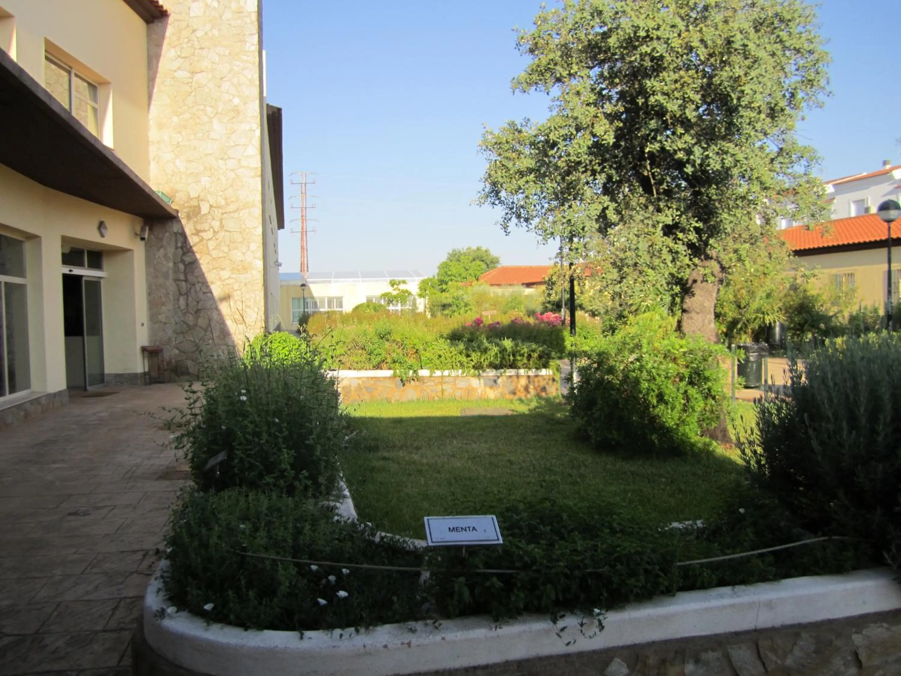 Garden in Hotel Sierra Luz