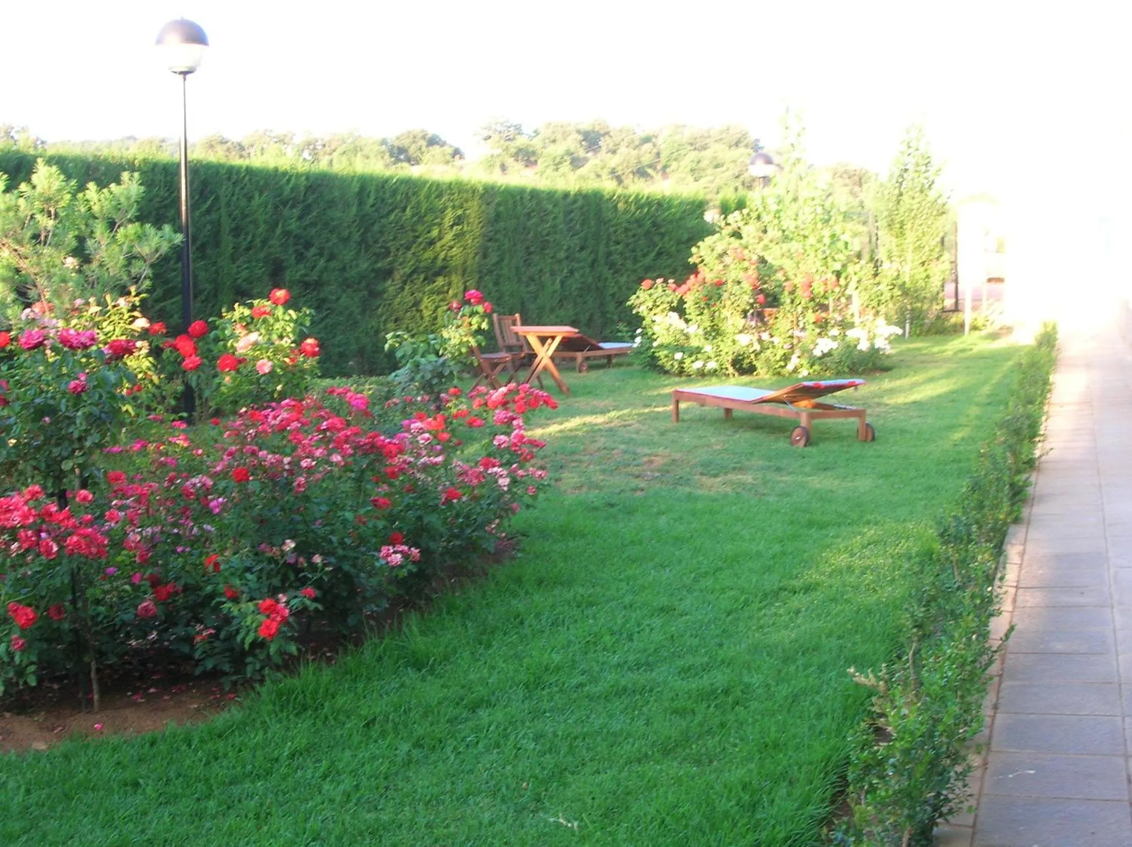 Garden in Hotel Sierra Luz
